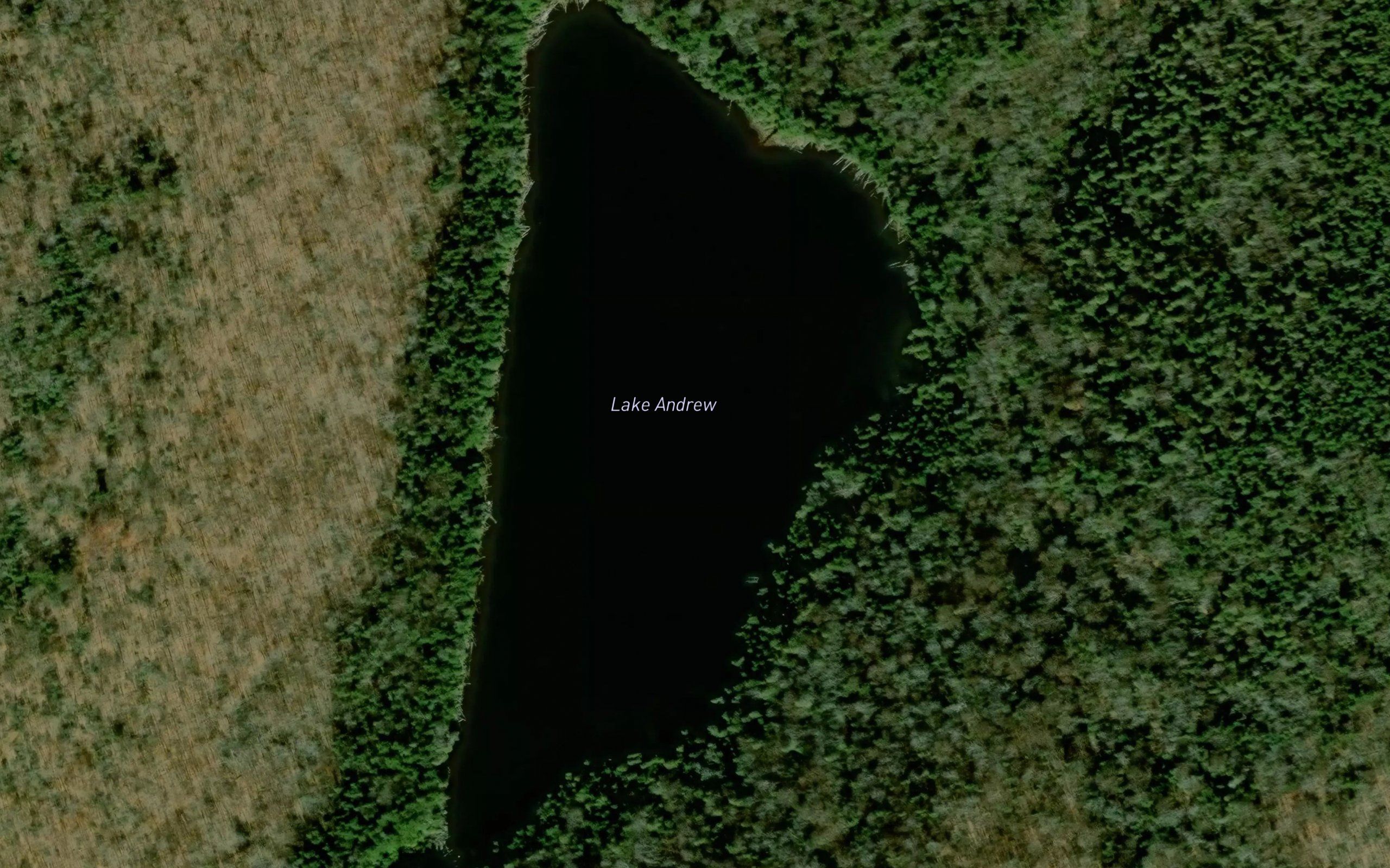 Lake Andrew