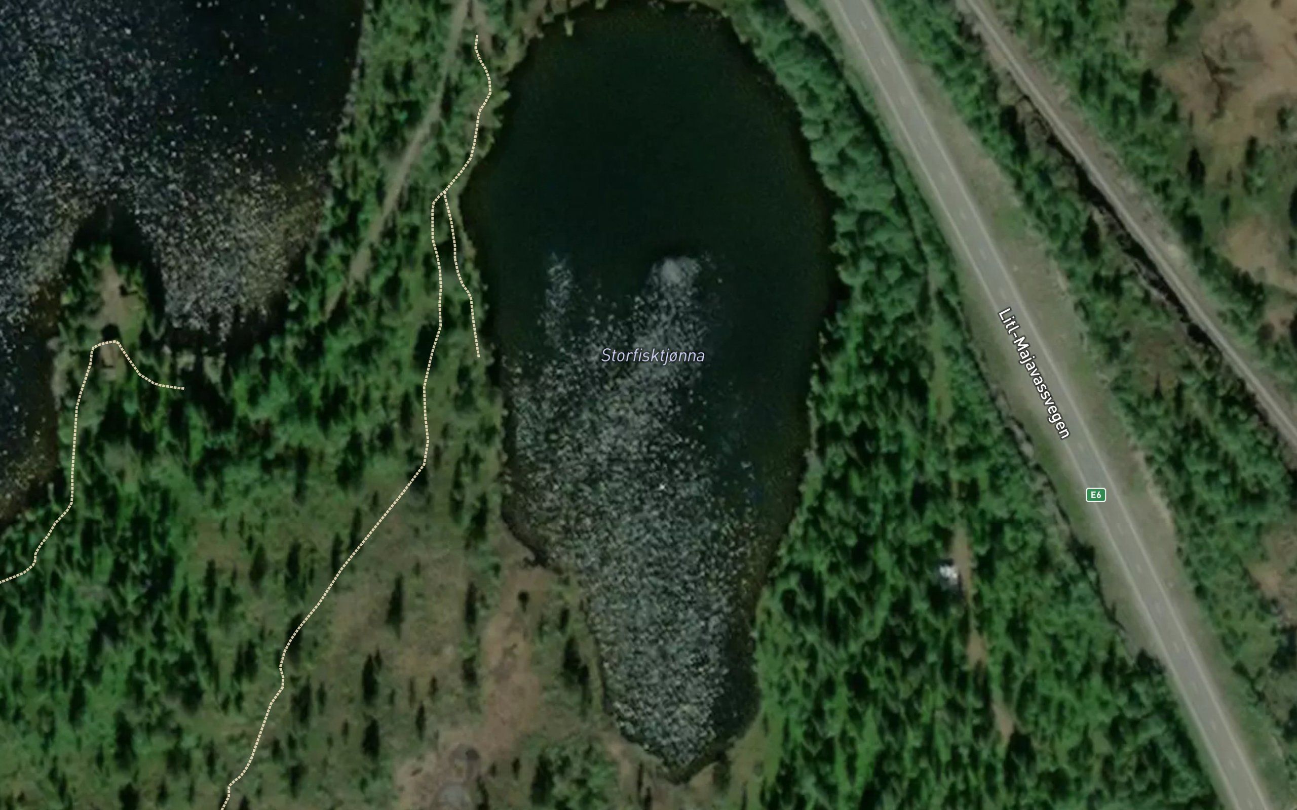 Storfisktjonna