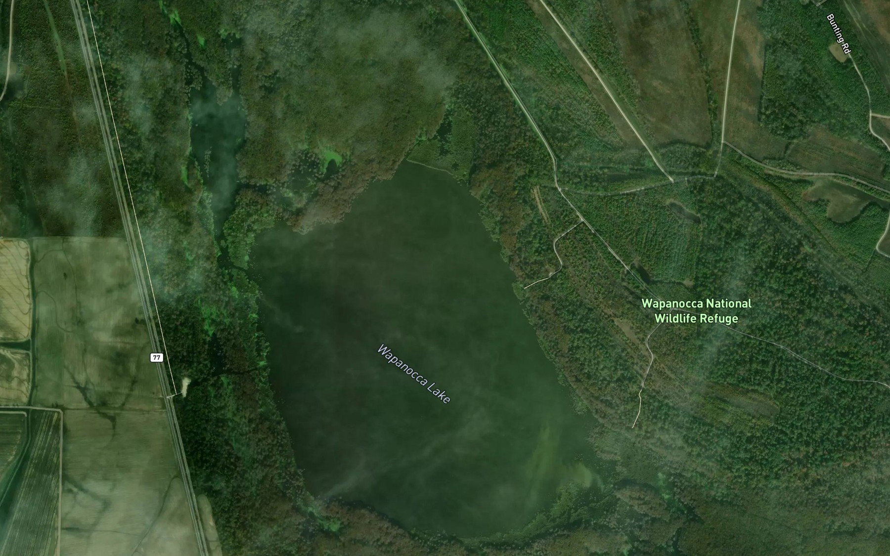 Satellite map of the Wapanocca Lake