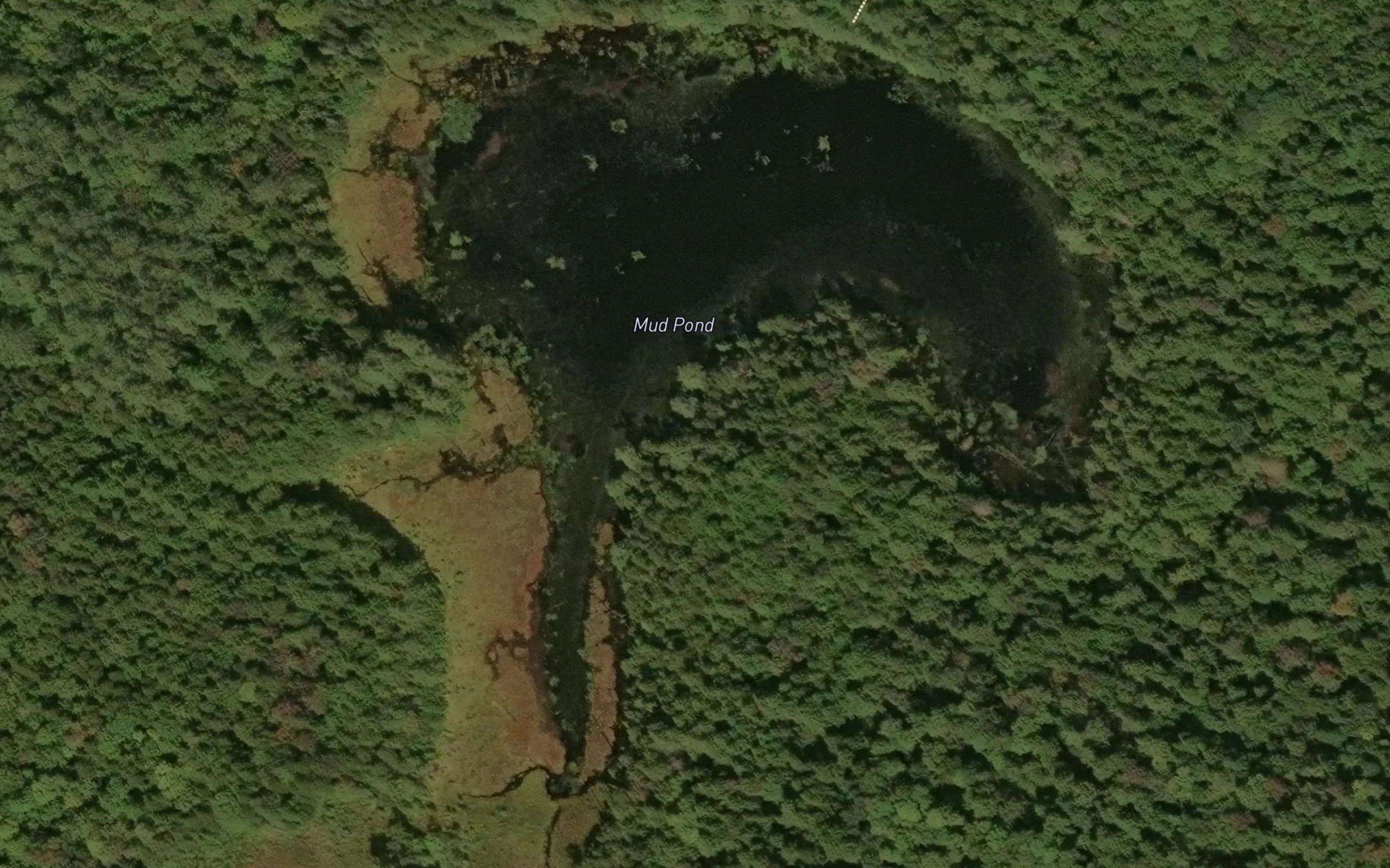 Mud Pond