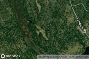 Lac Red Deer