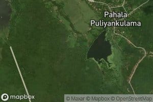Pahala Puliyankulama Wewa