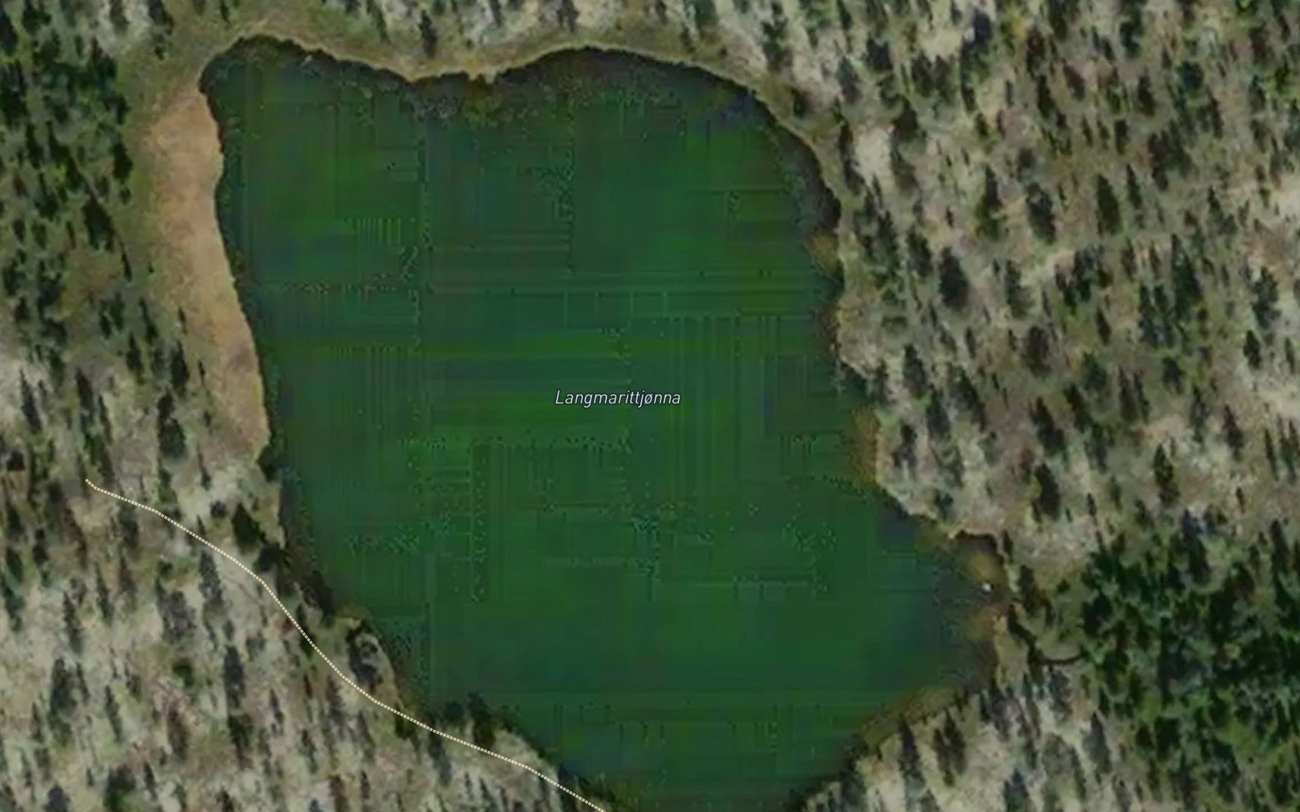 Langmarittjorna