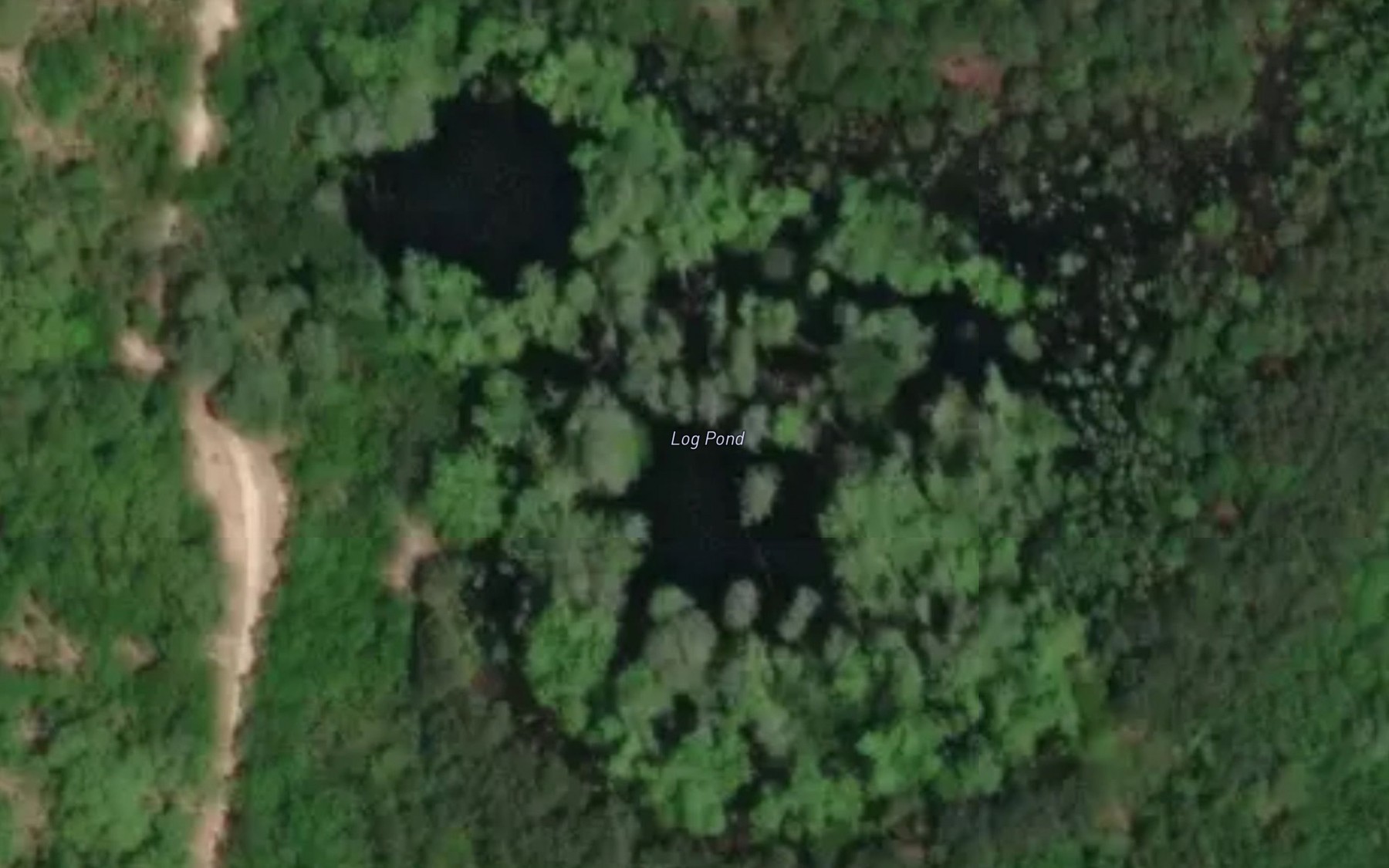 Satellite map of the Log Pond