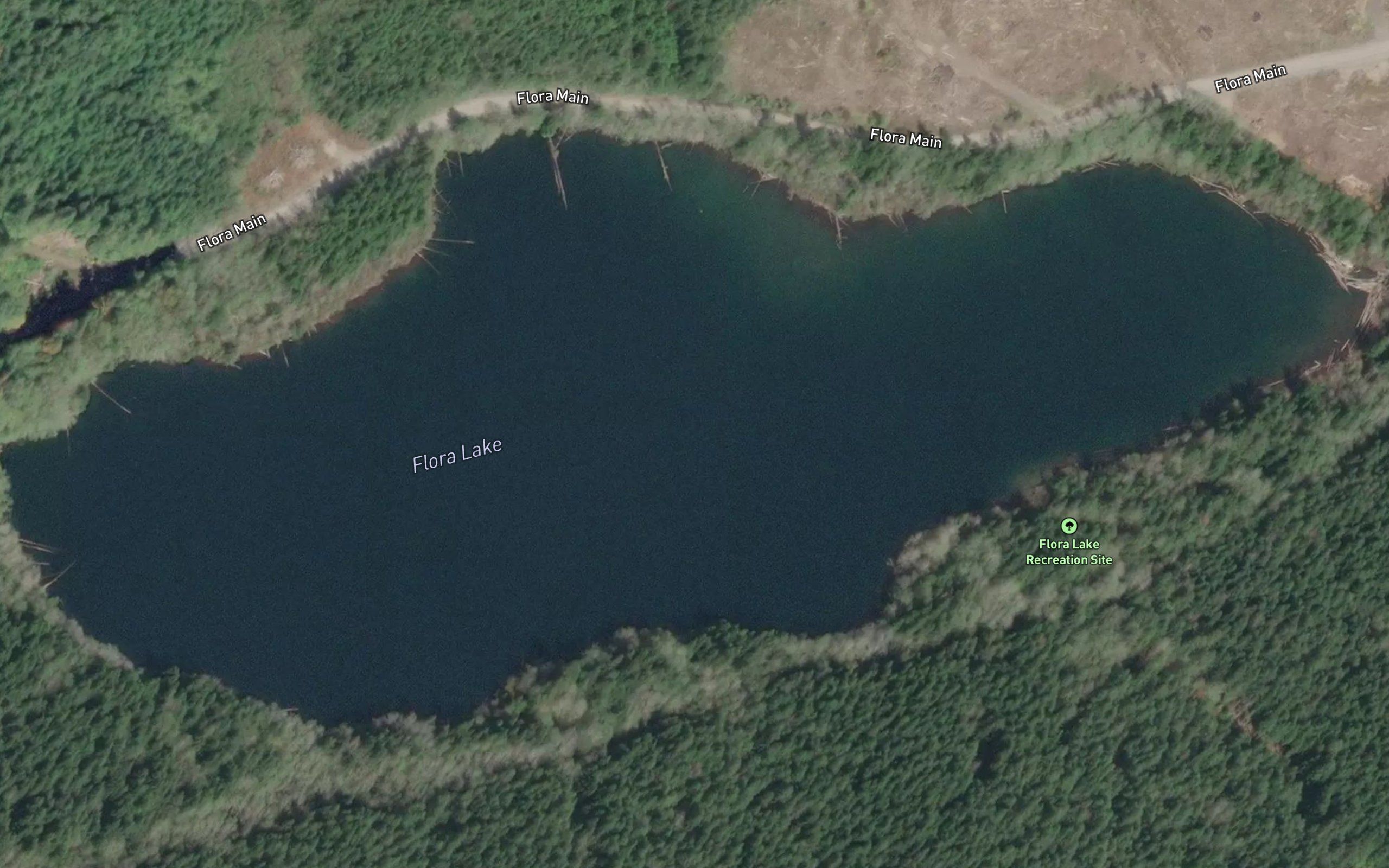 Flora Lake