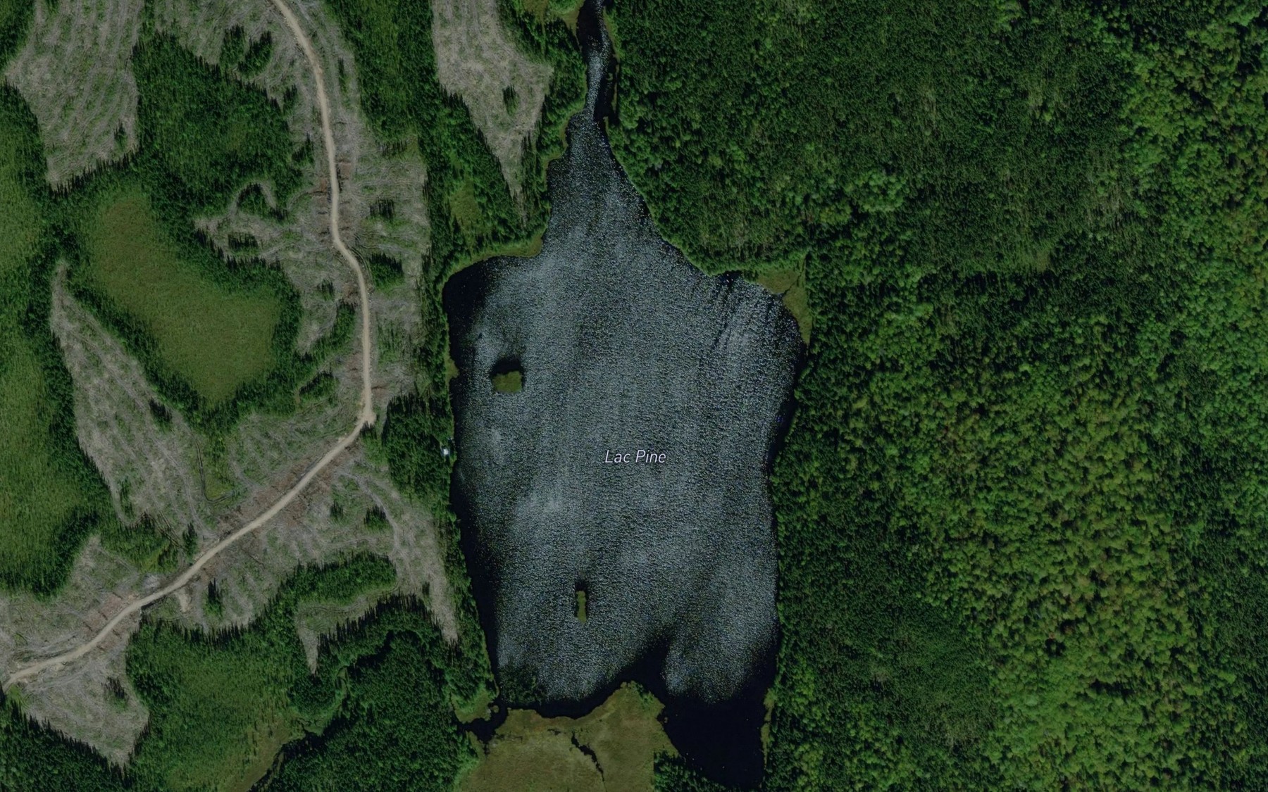 Satellite map of the Lac Pine