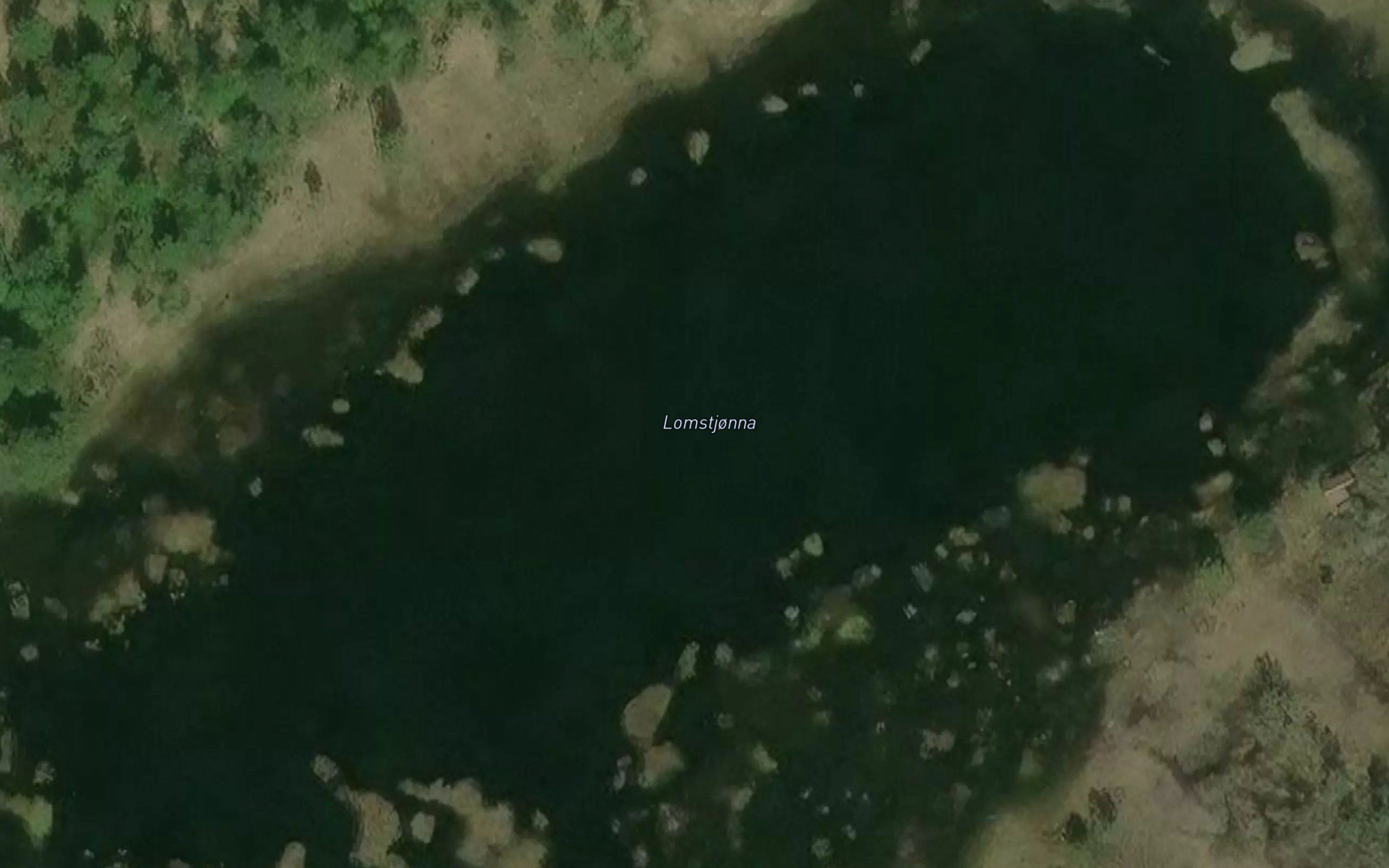 Lomstjorna