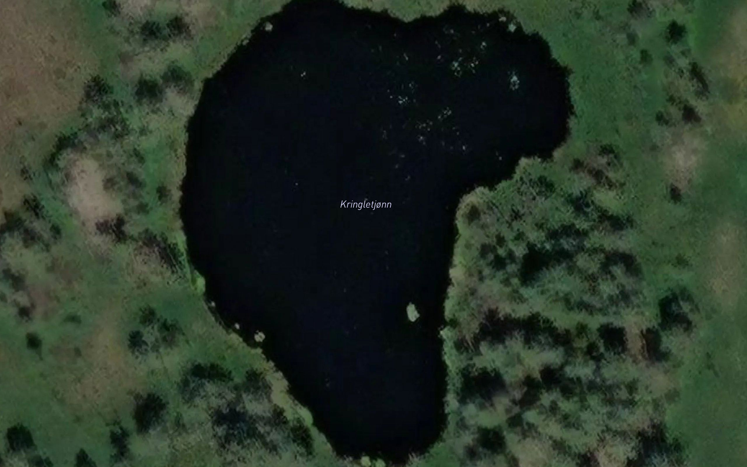 Kringletjonn