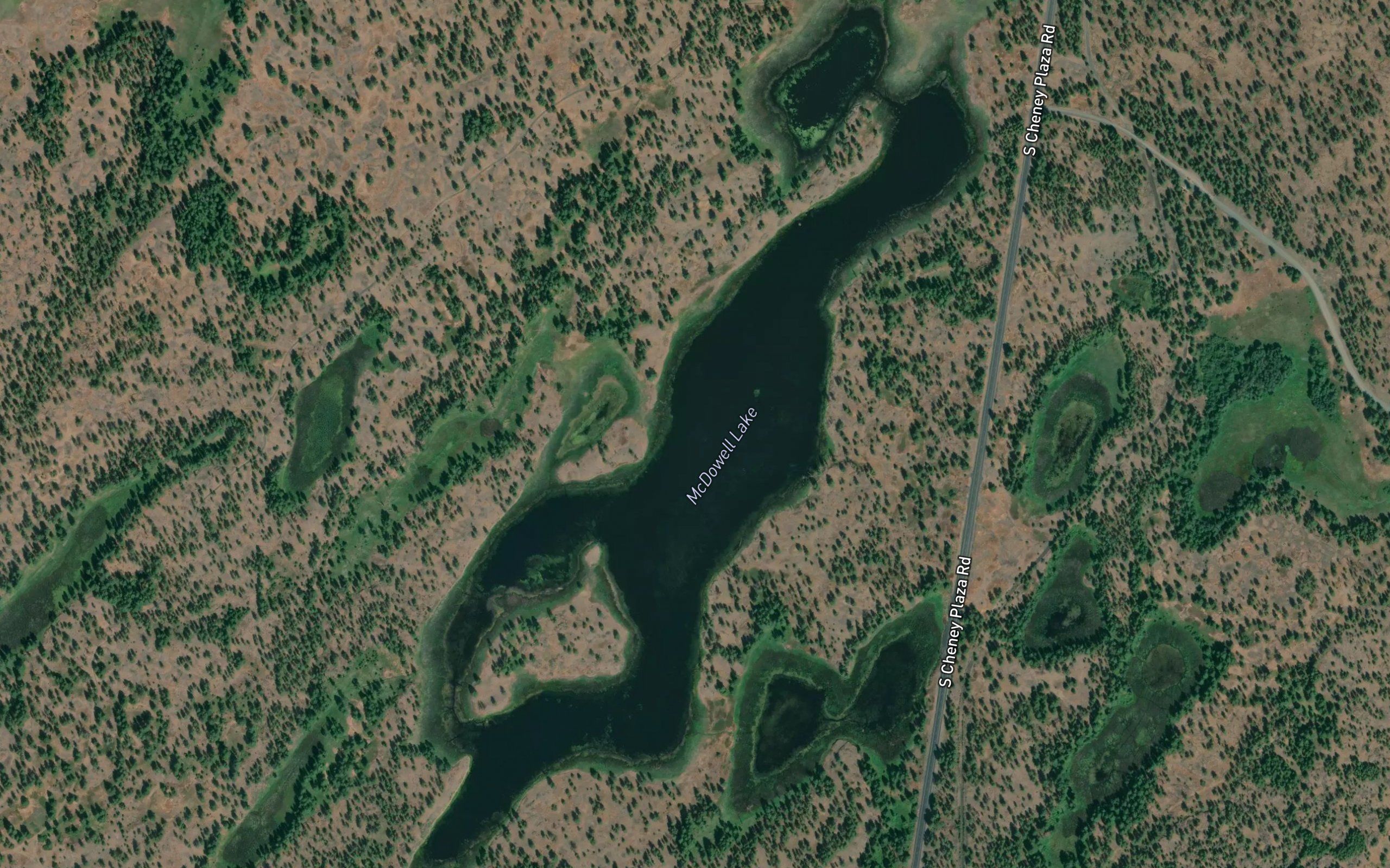 McDowell Lake