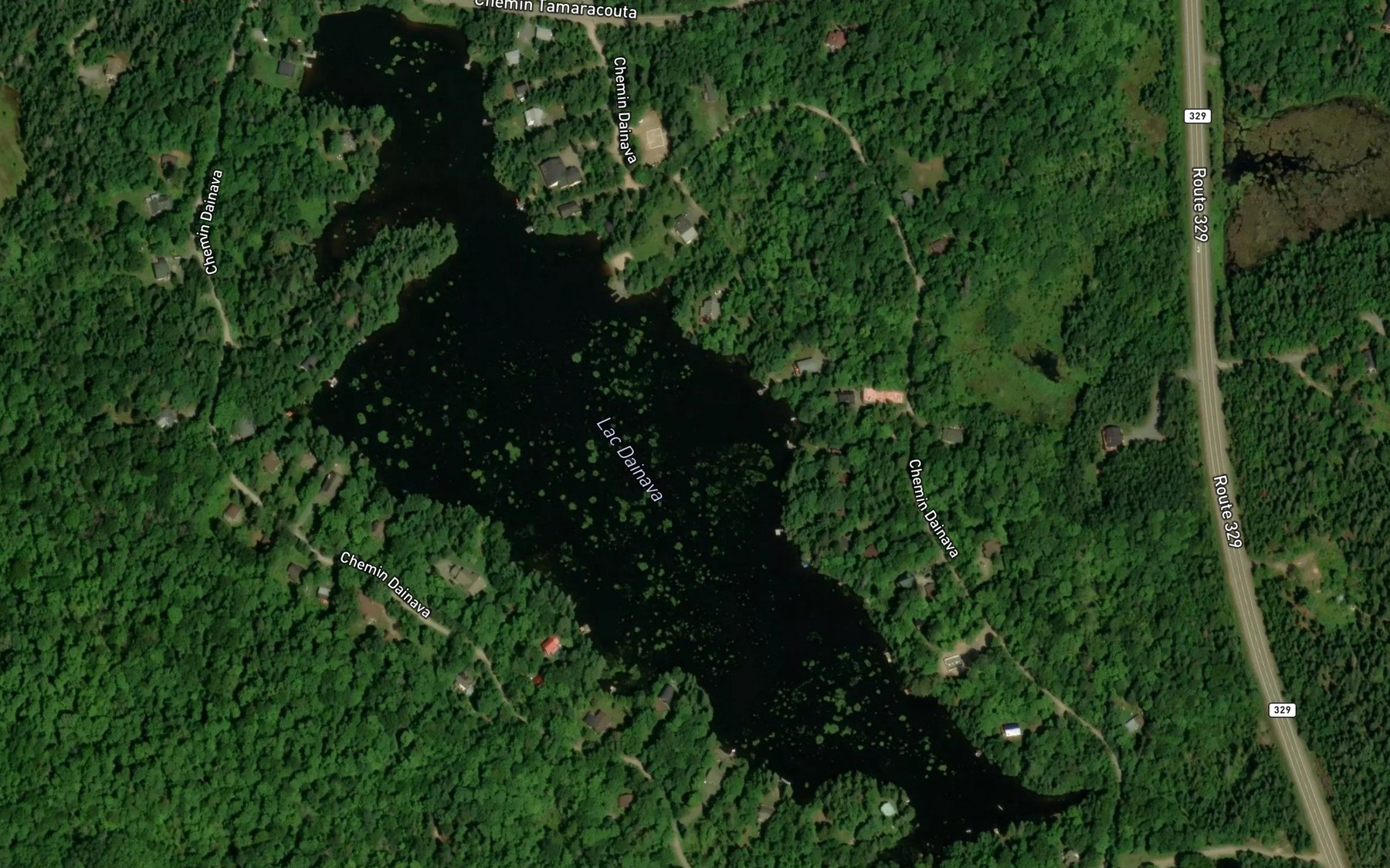 Satellite map of the Lac Dainava
