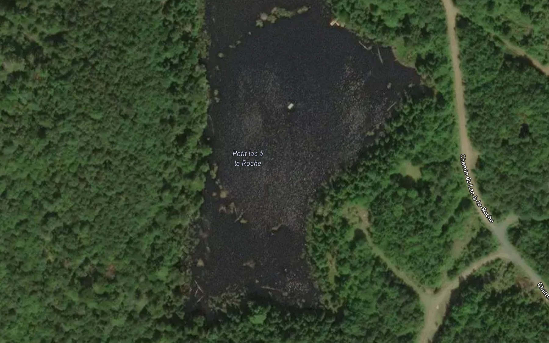 Satellite map of the Petit lac a la Roche