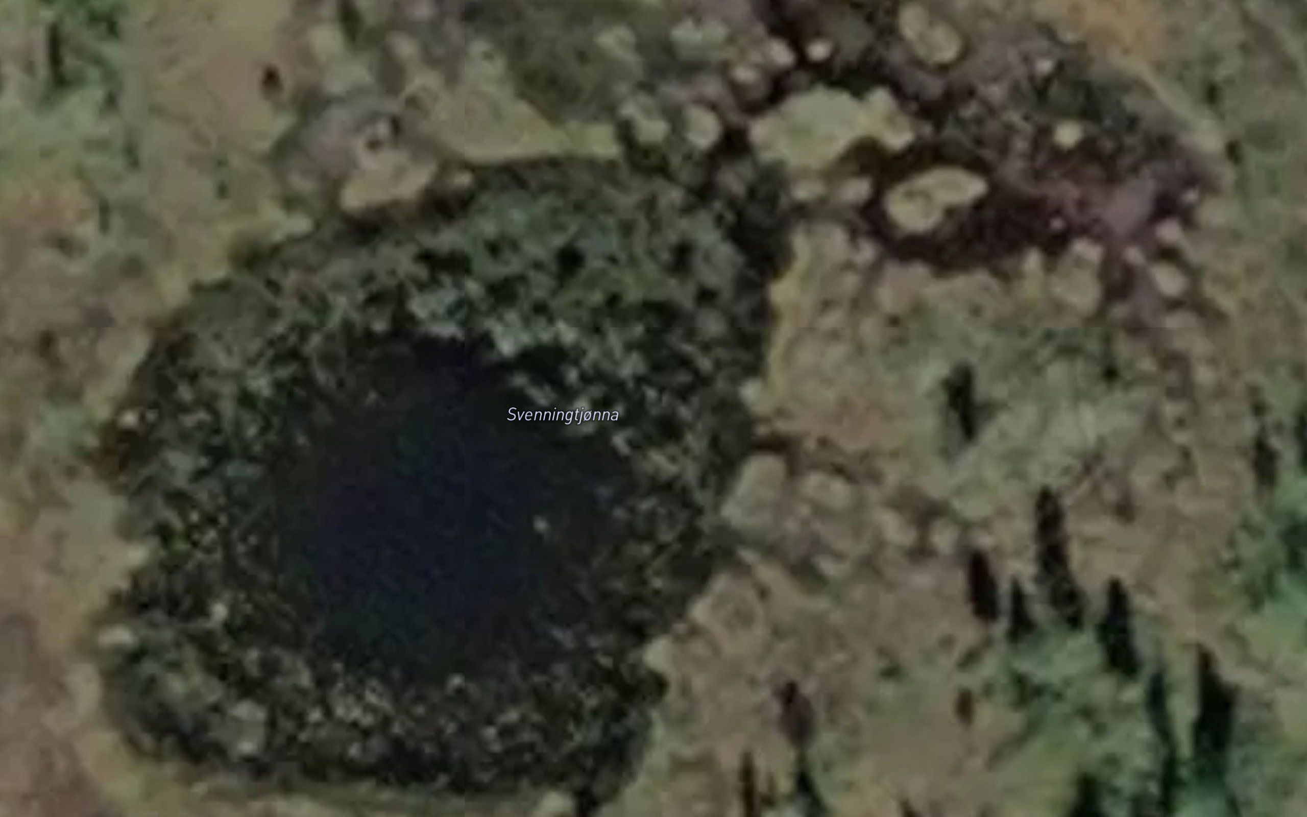 Svenningtjorna