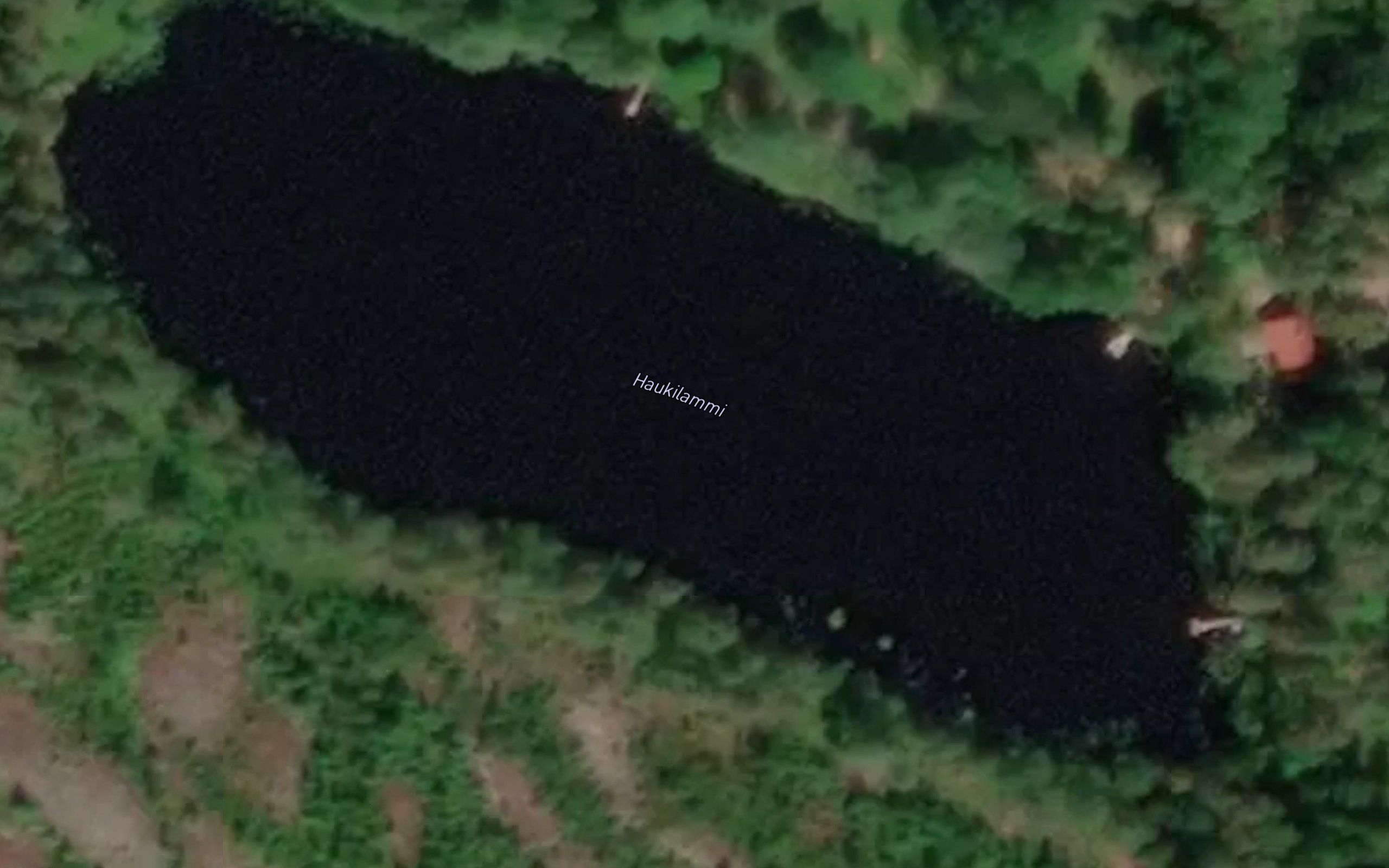 Haukilammi