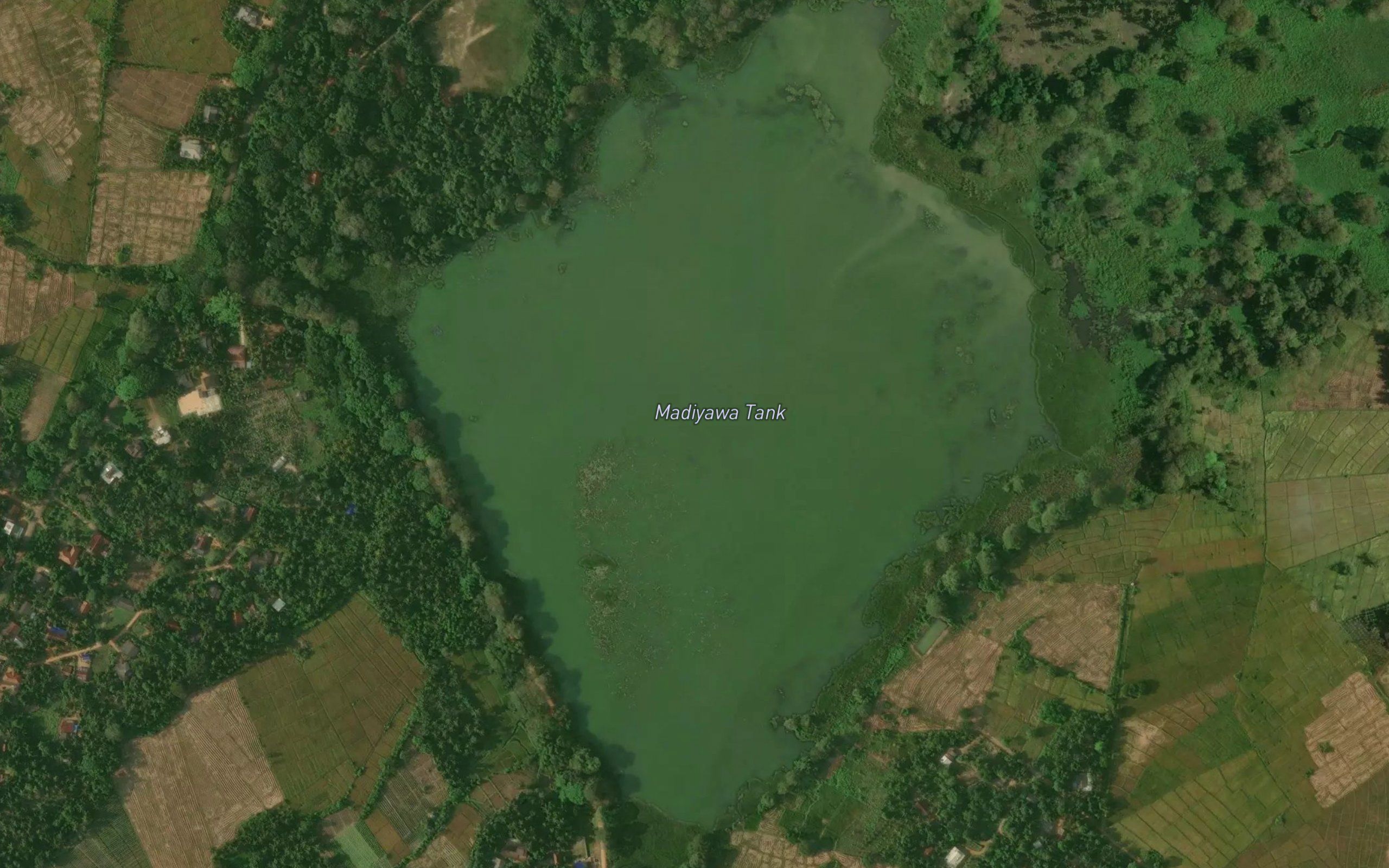 Mediyawa Wewa