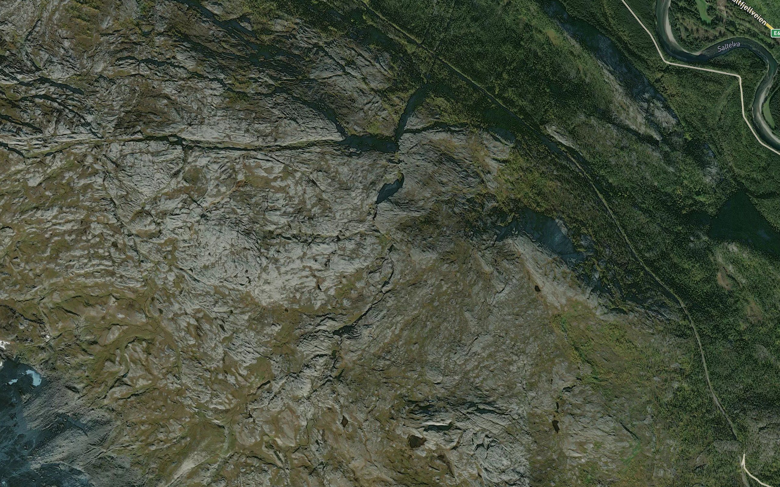 Smedolakvervelva