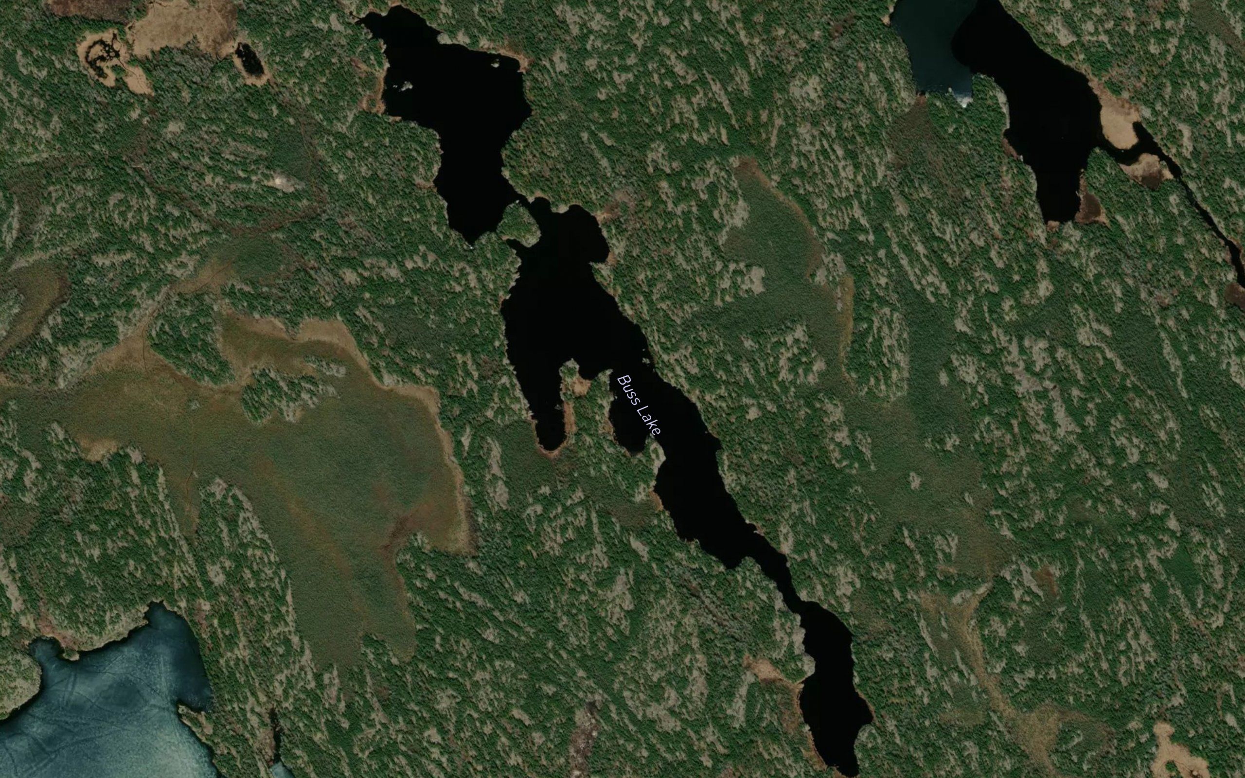 Buss Lake