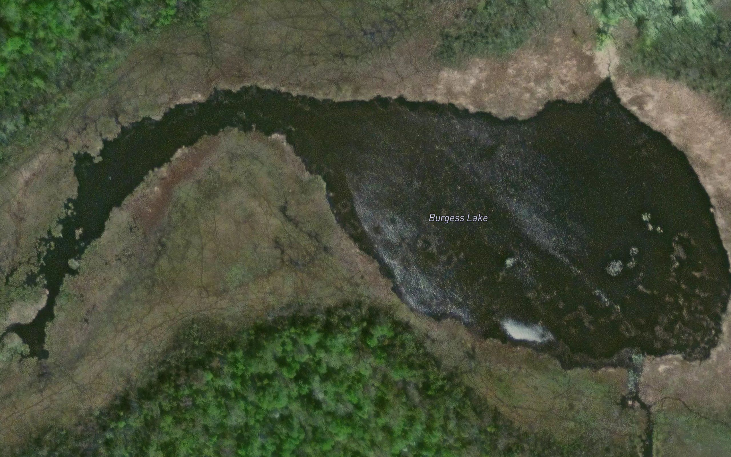 Burgess Lake