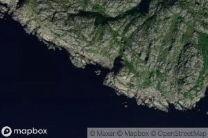 Dyrvika
