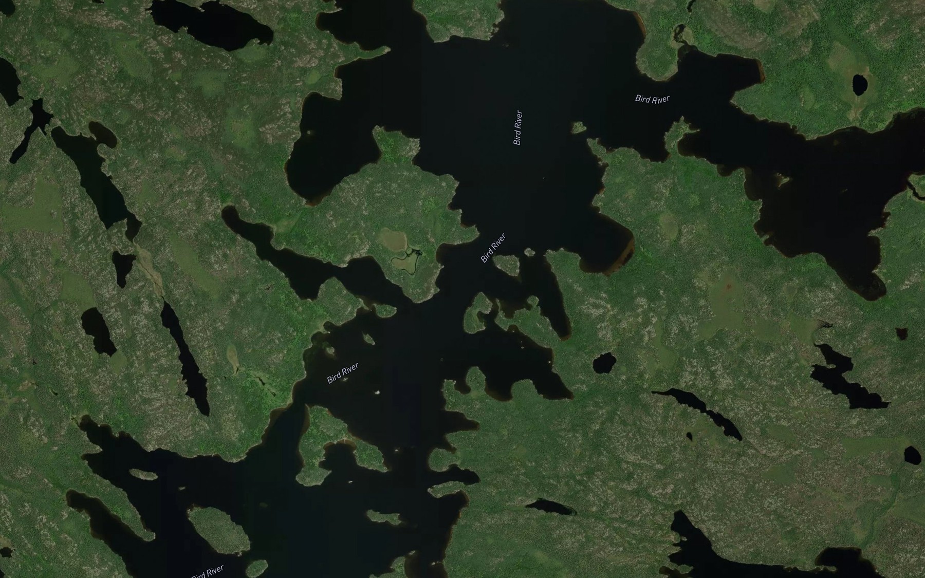 Satellite map of the Eagle Lake