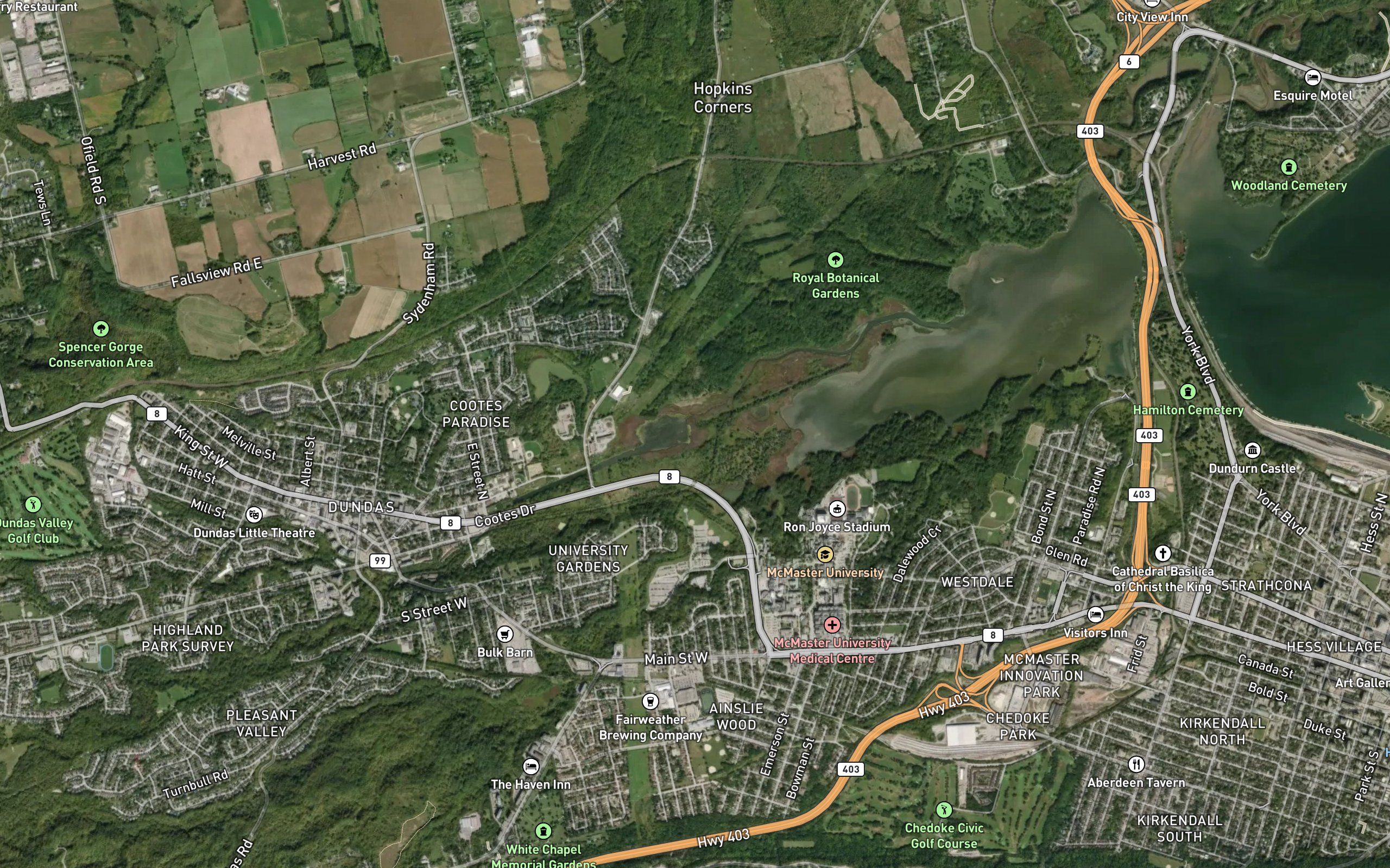 Hopkins Creek
