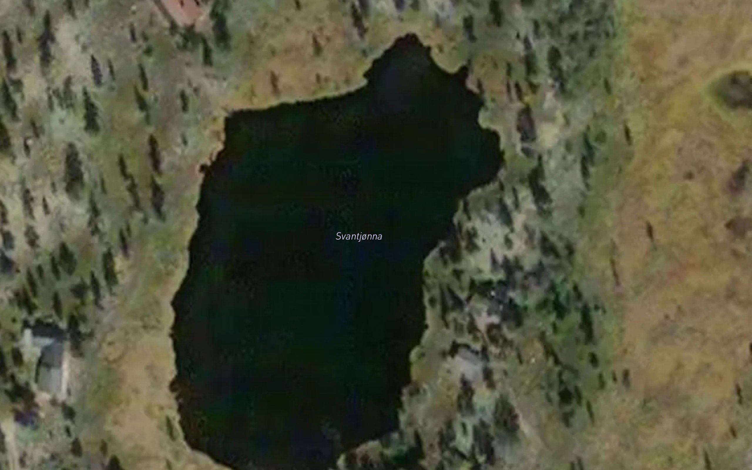 Svantjonna