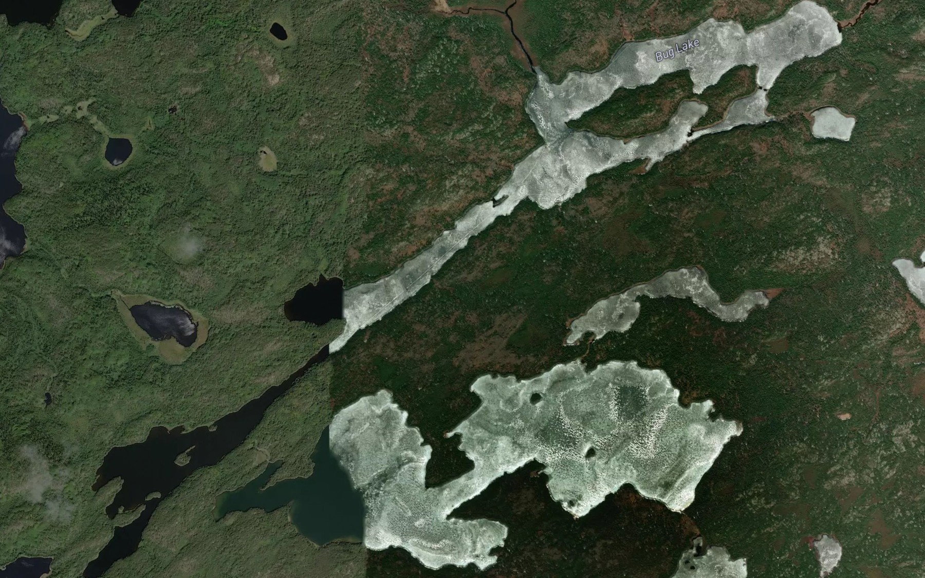 Satellite map of the Bug Lake