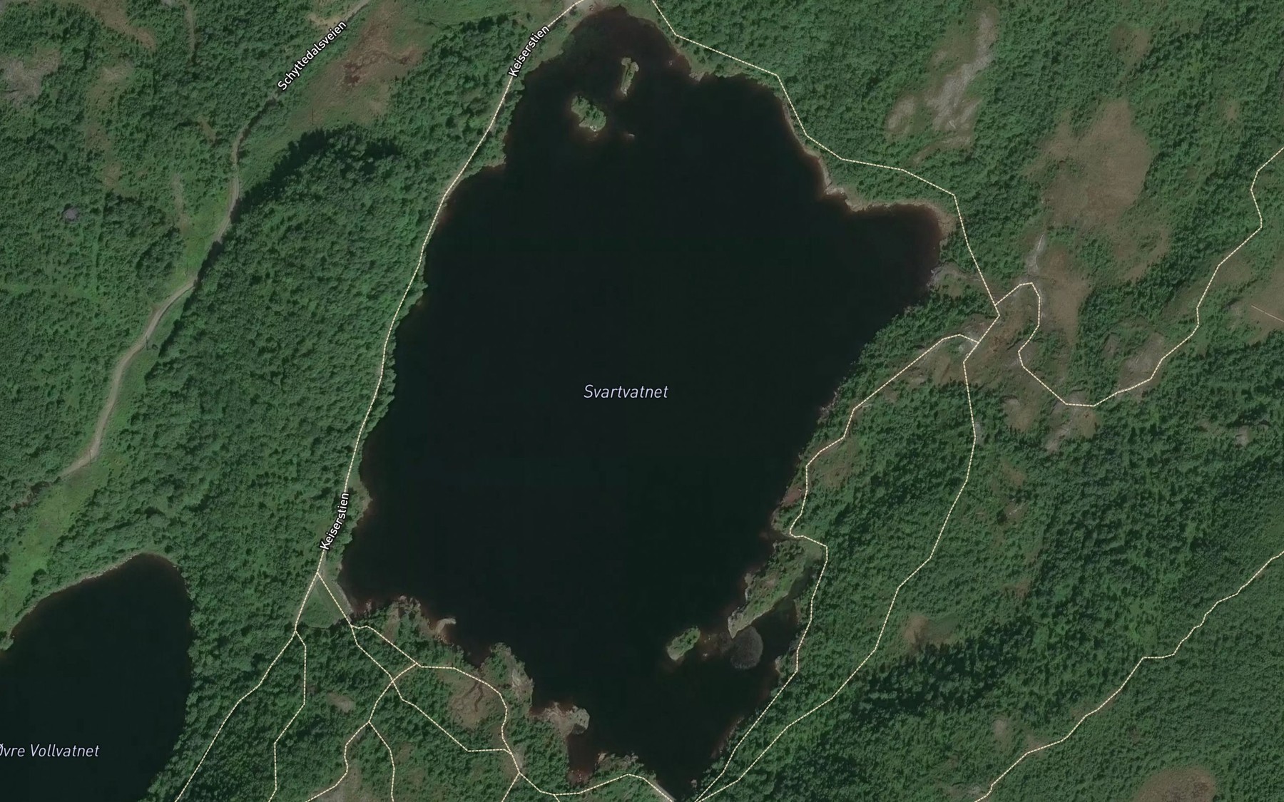 Satellite map of the Svartvatnet