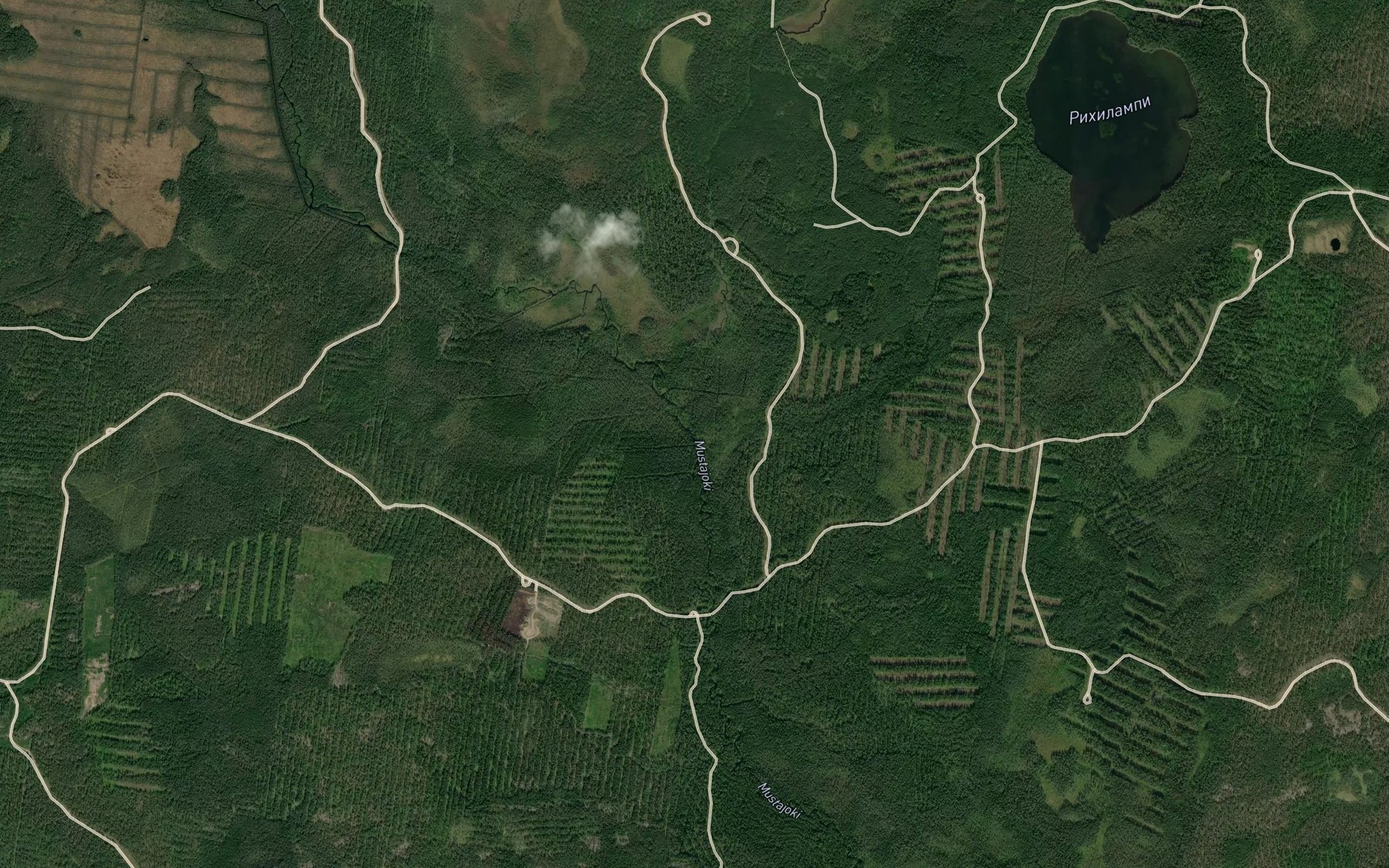 Satellite map of the Rikhioya