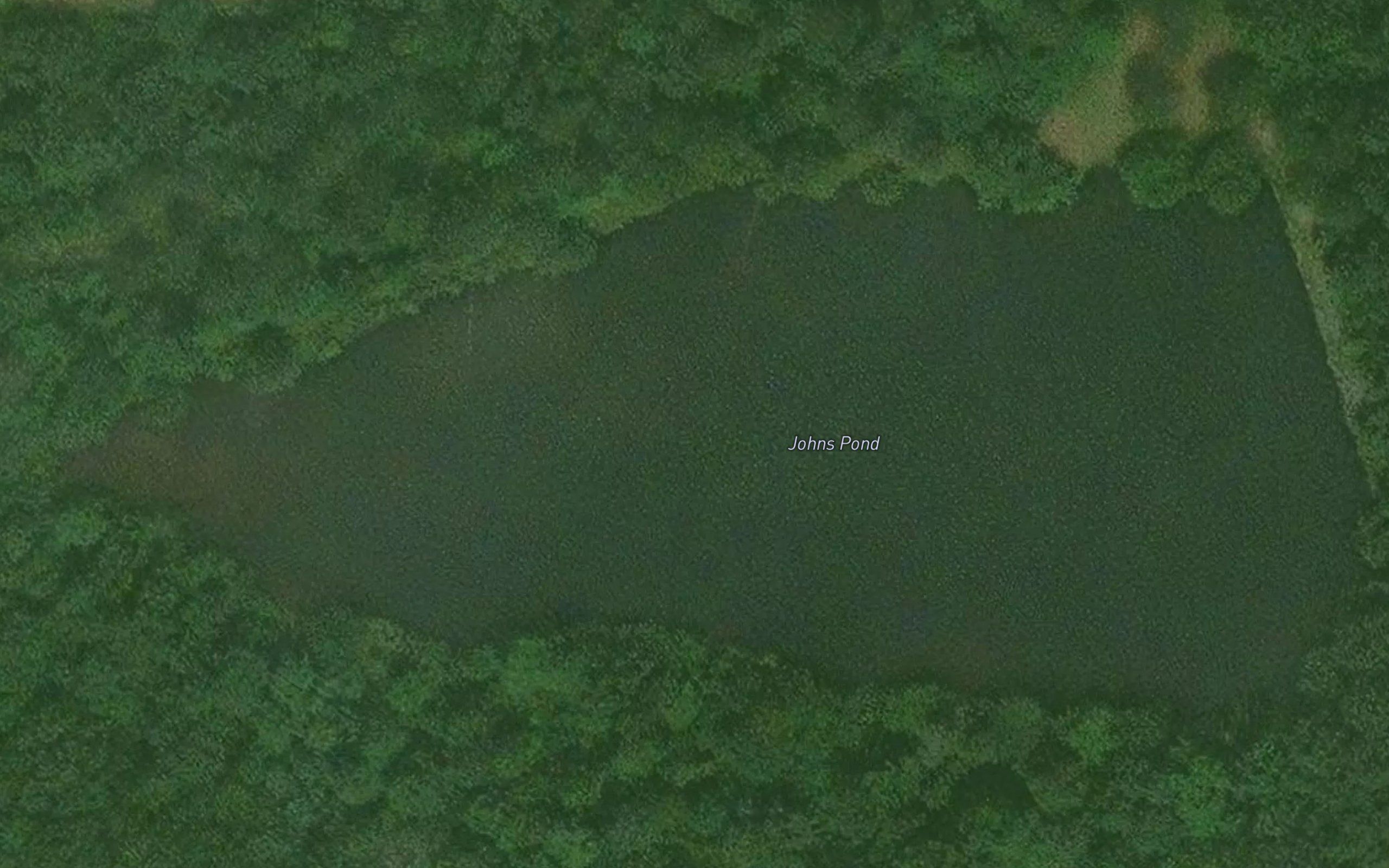 Johns Pond