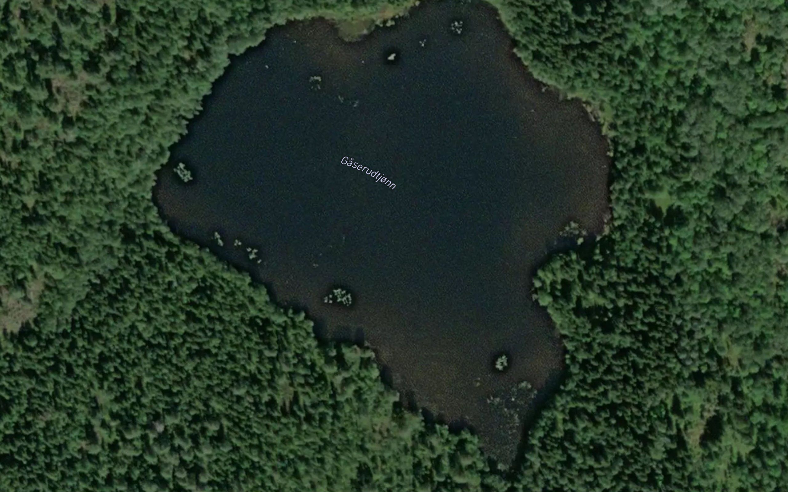 Gaserudtjernet