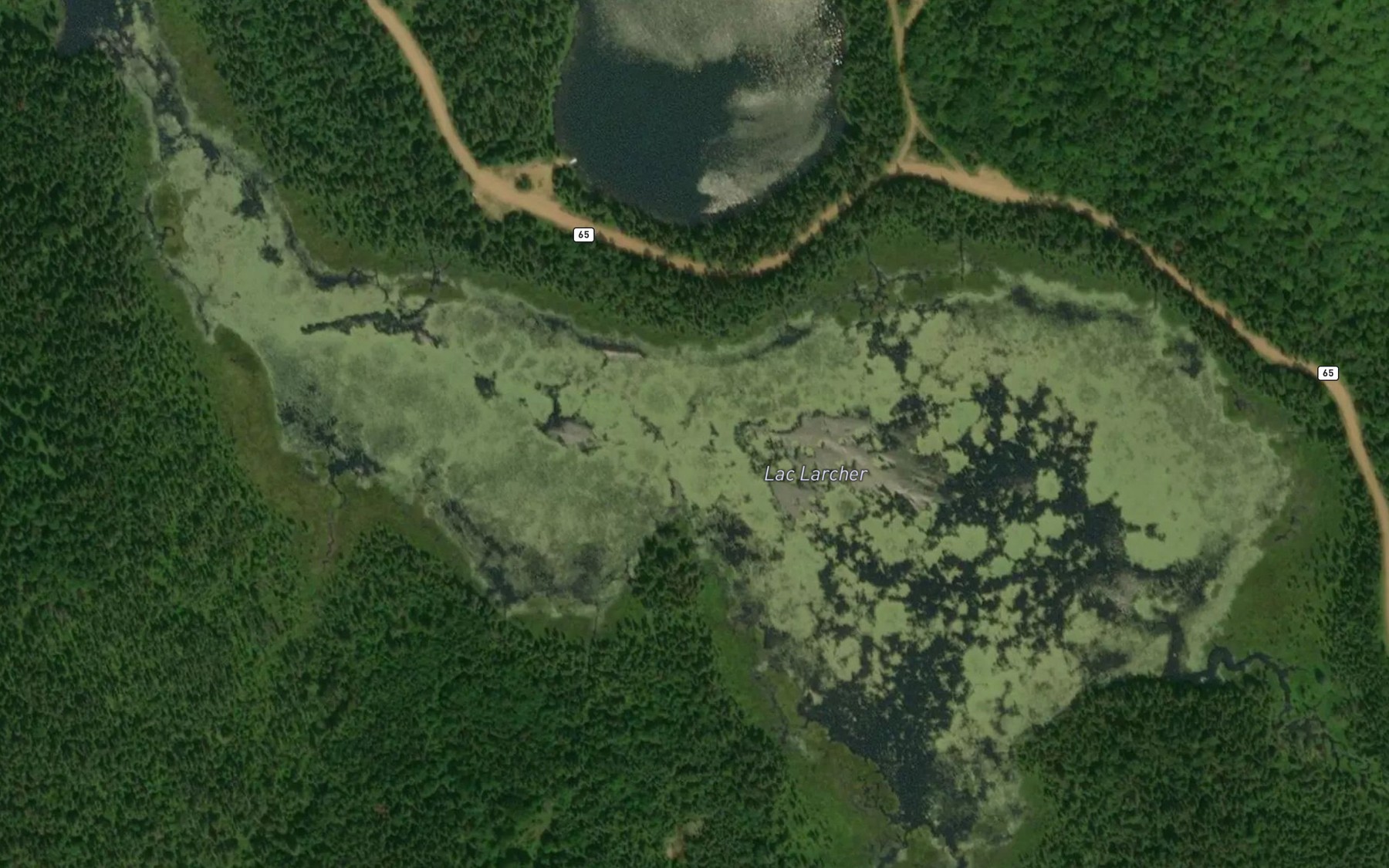 Satellite map of the Lac Larcher