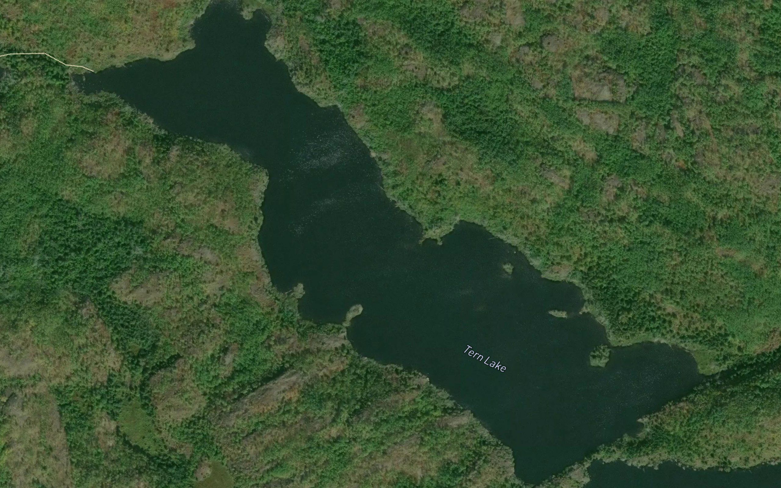 Tern Lake