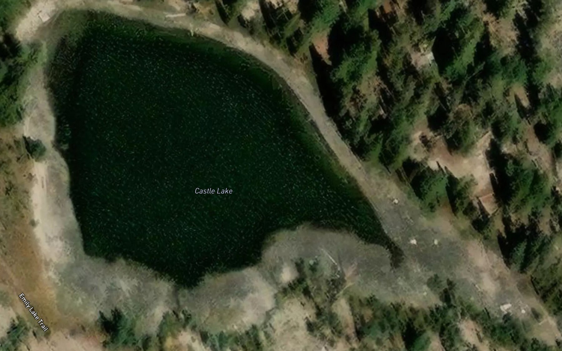 Satellite map of the Castle Lake