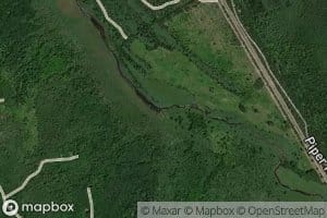 Berlinski Creek