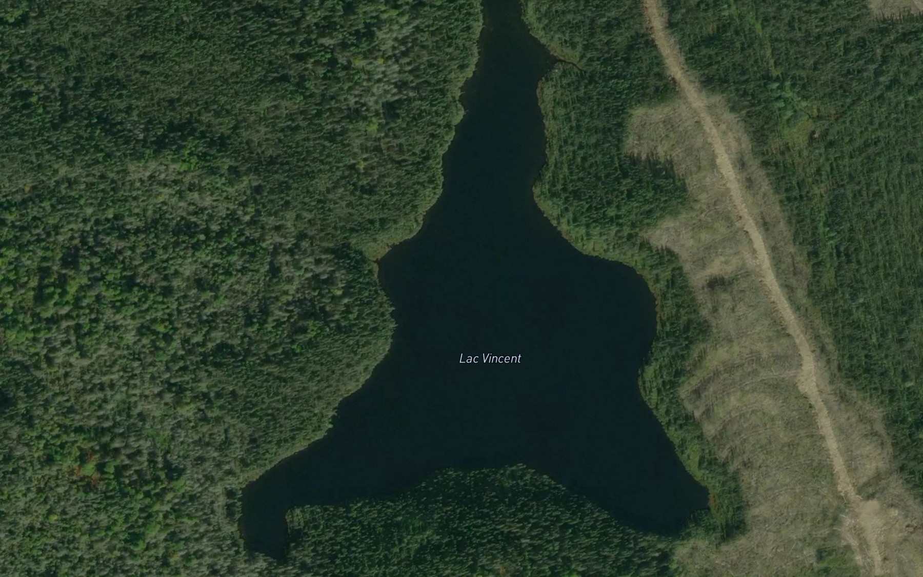 Satellite map of the Lac Vincent
