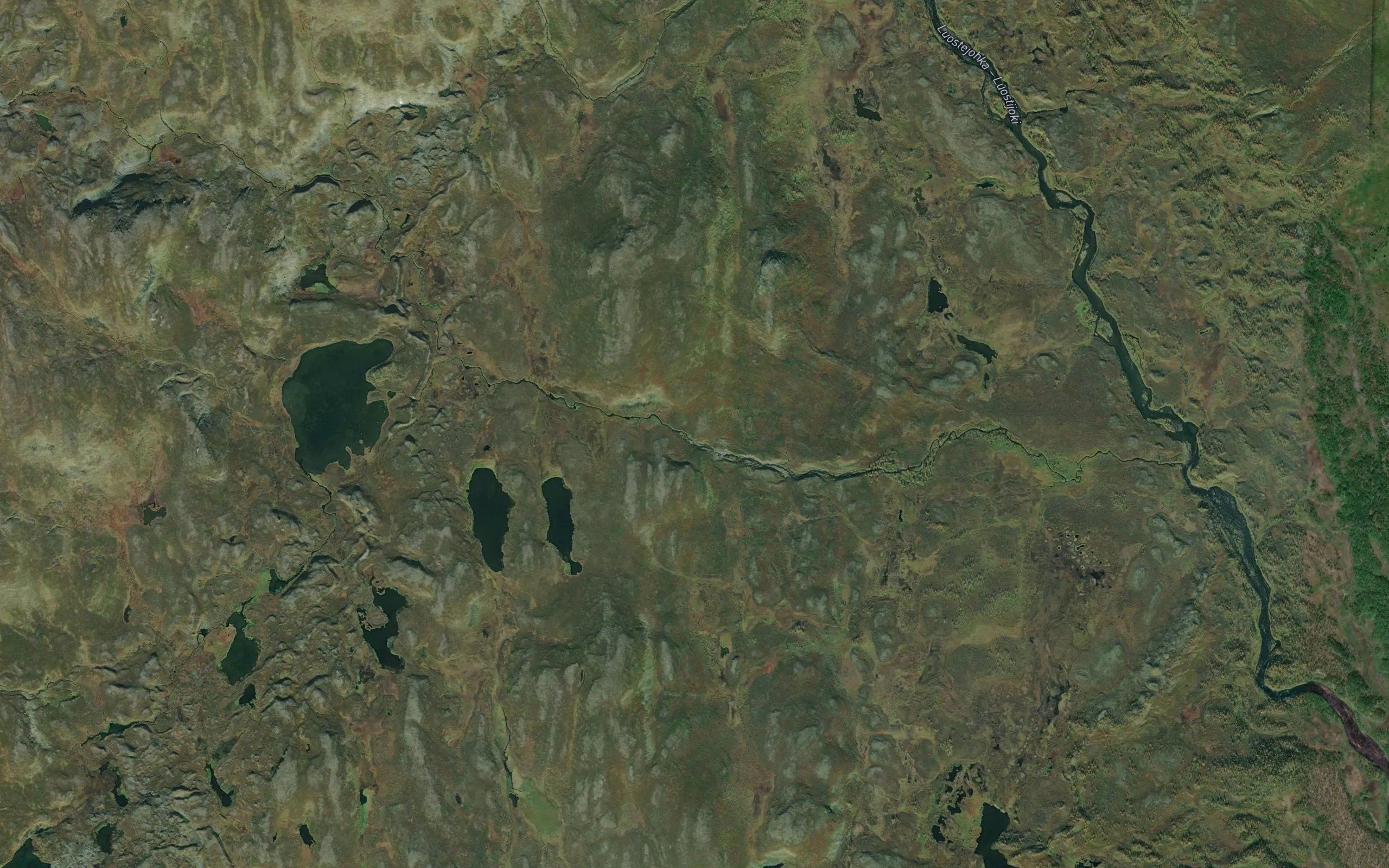Maggajakka