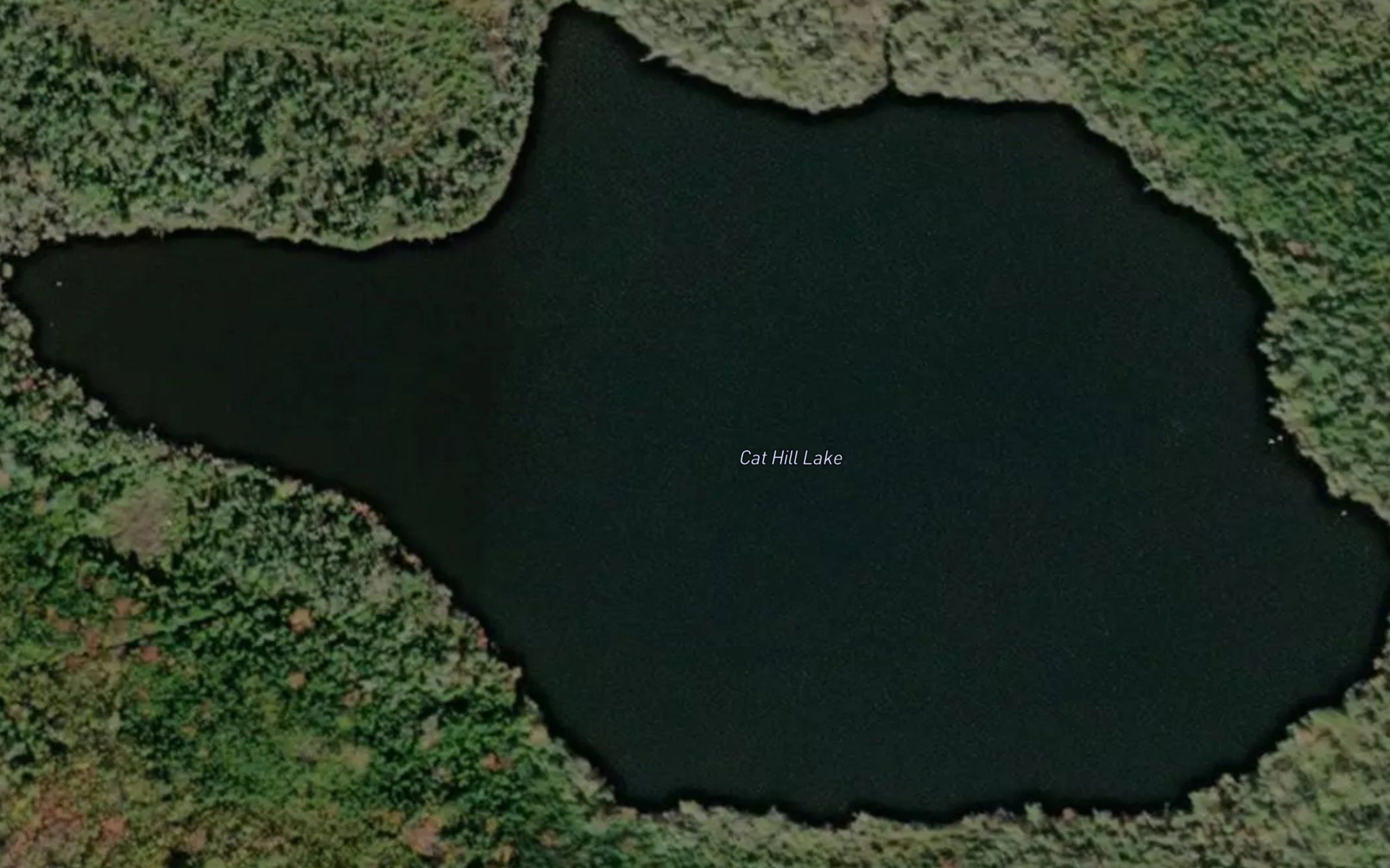 Cat Hill Lake