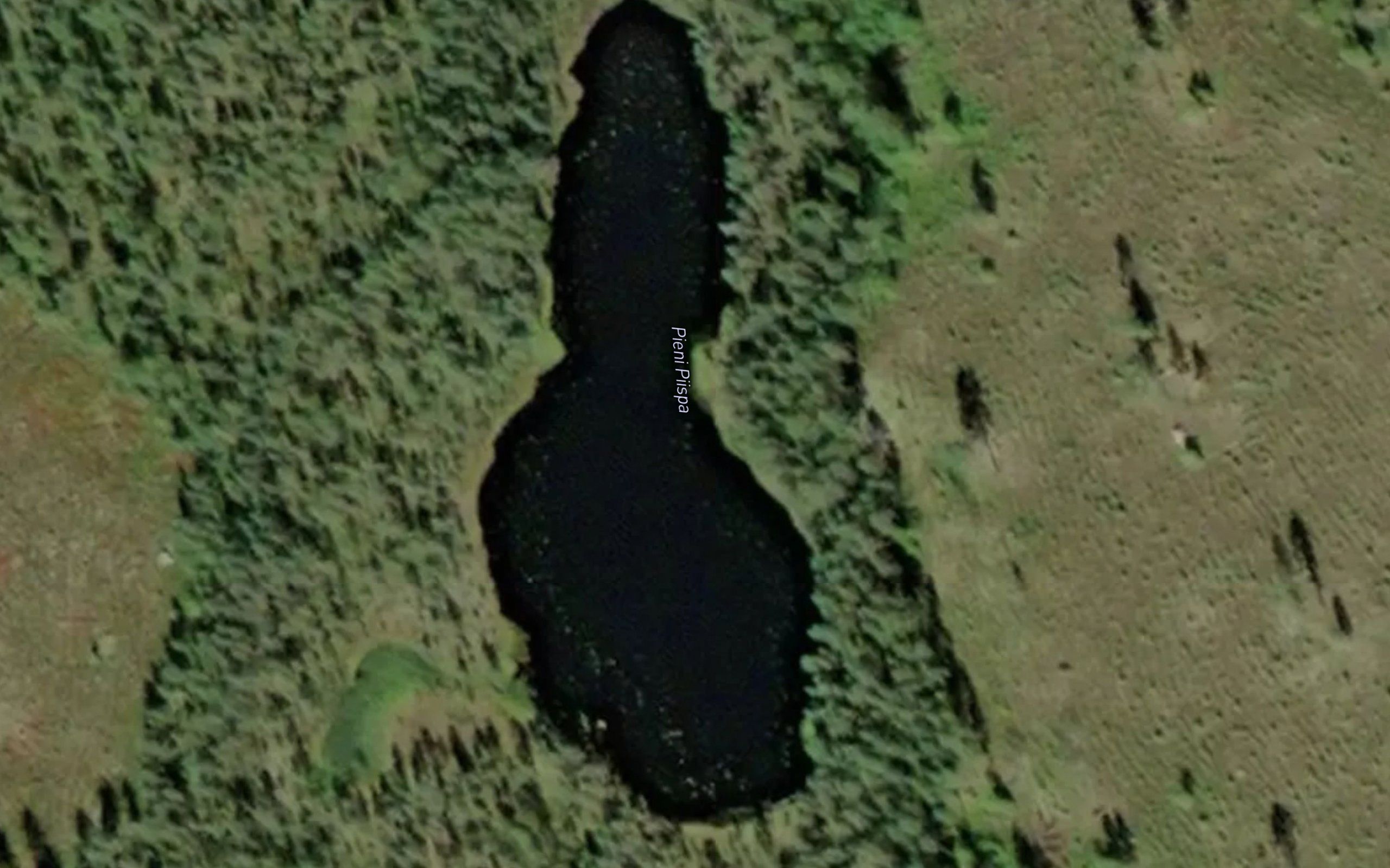 Pieni-Piispa