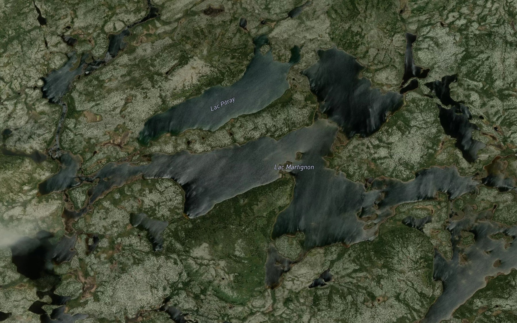 Satellite map of the Lac Martignon