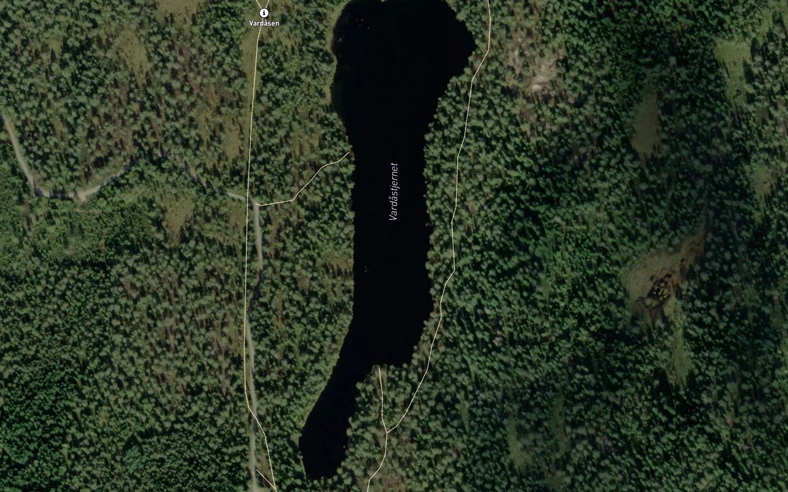 Vardastjernet