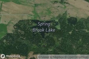 Spring Brook Lake