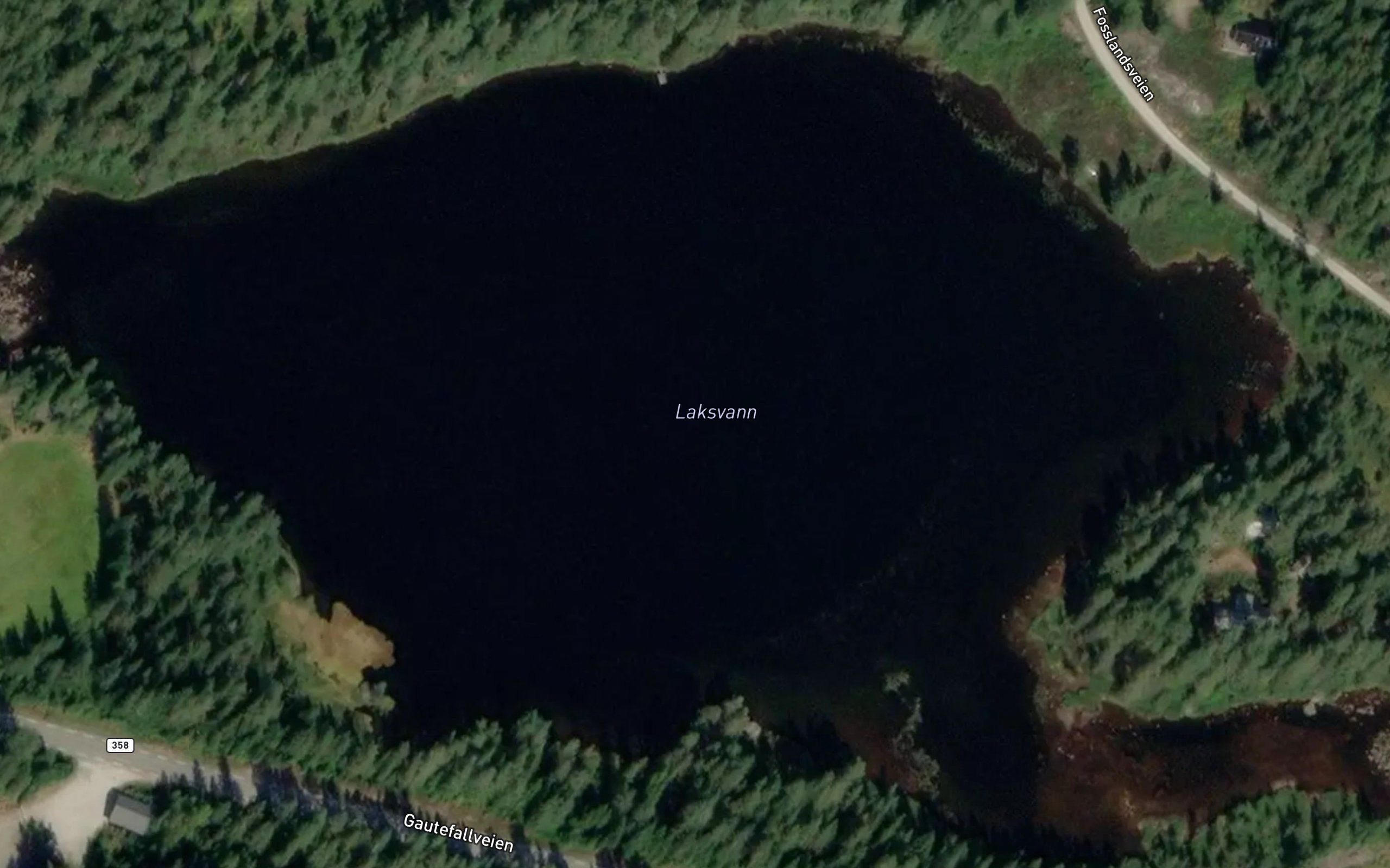 Laksvann