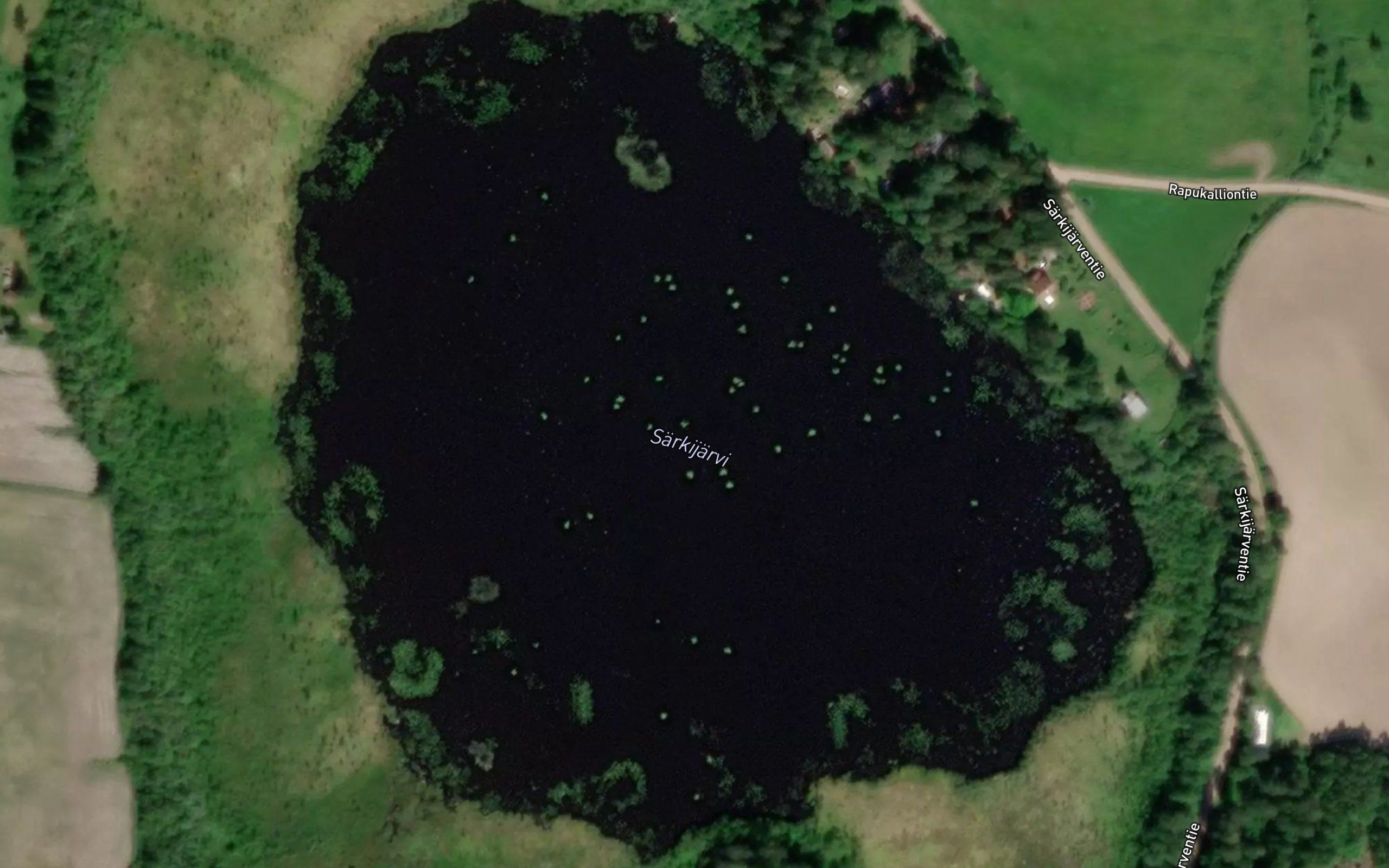 Sarkijarvi