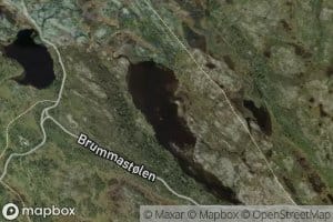 Steinringtjernet