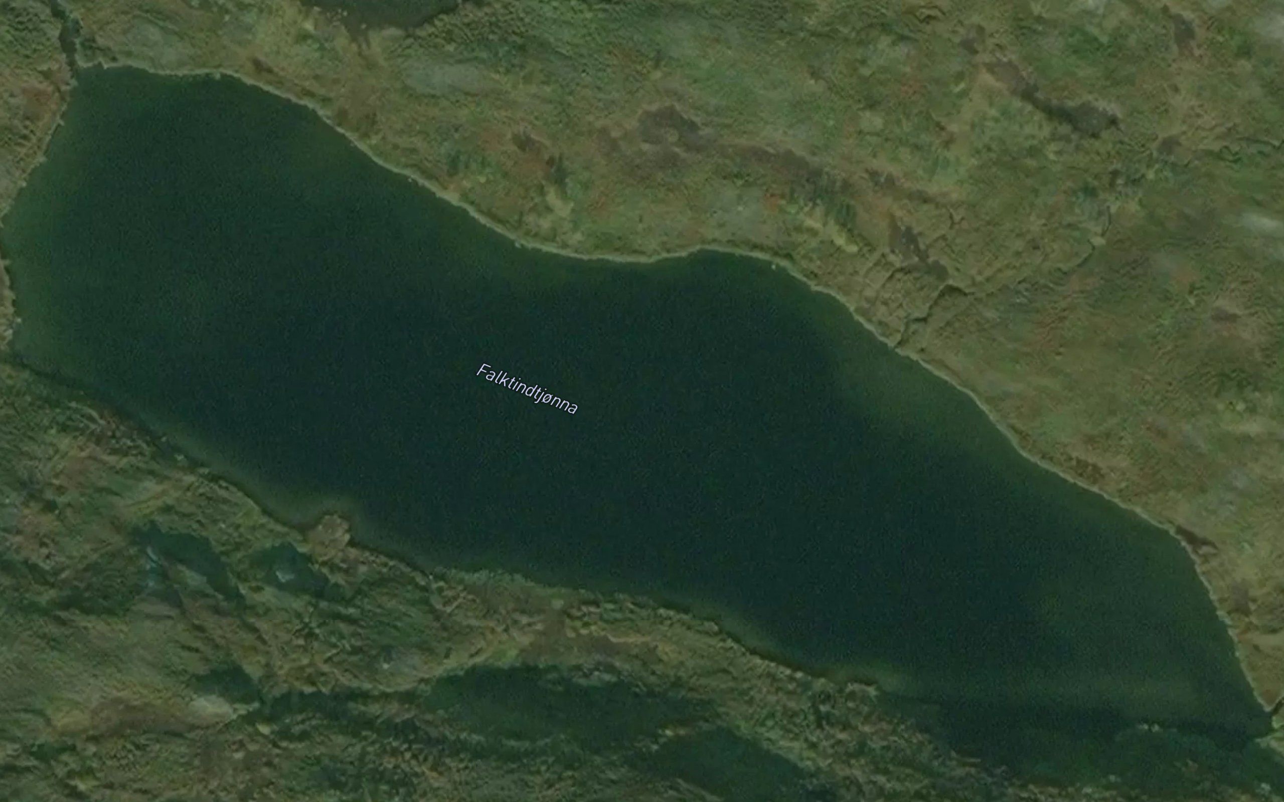 Falktindtjorna