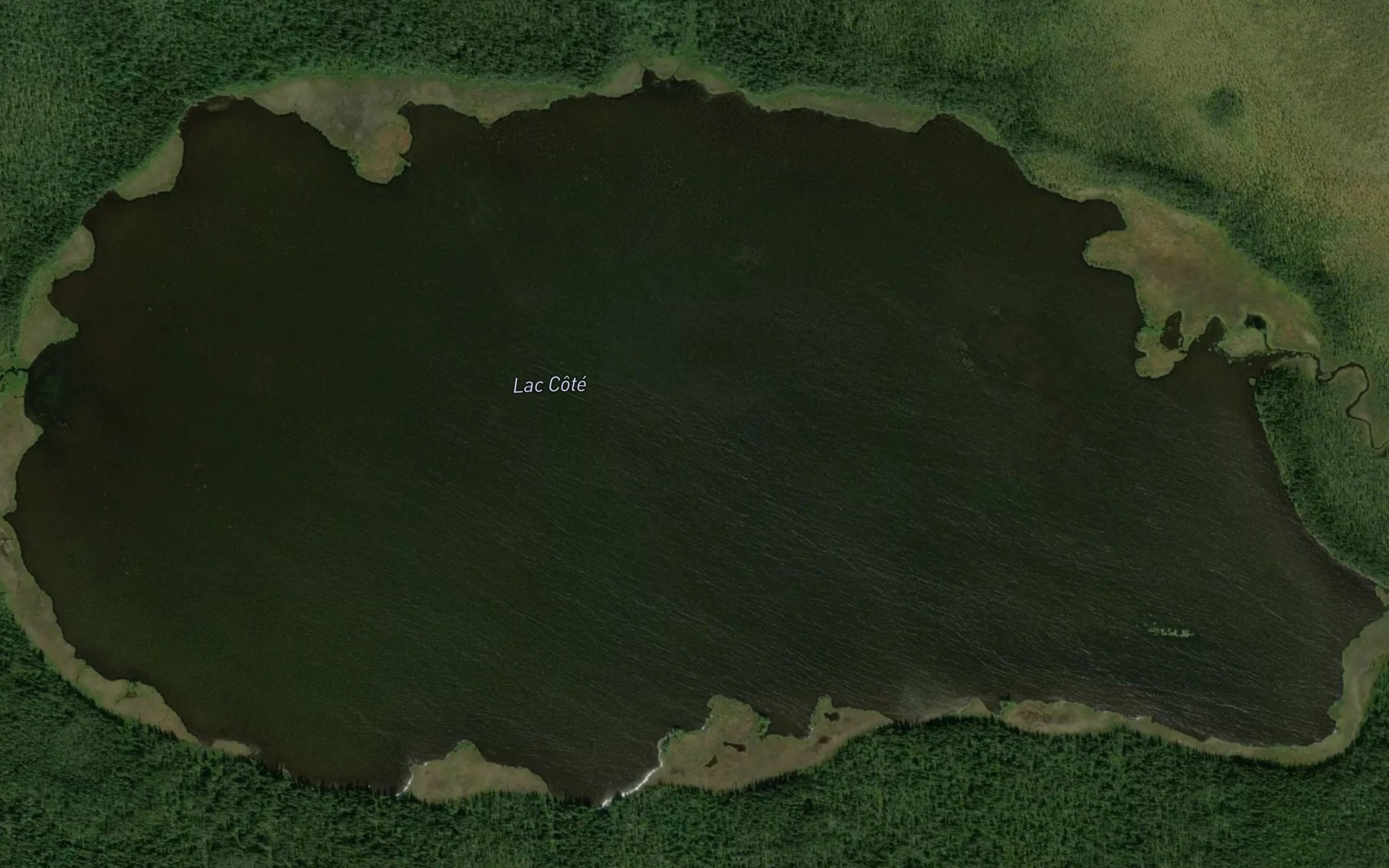 Satellite map of the Lac Cote
