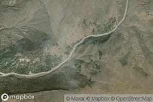 Wilson Spring
