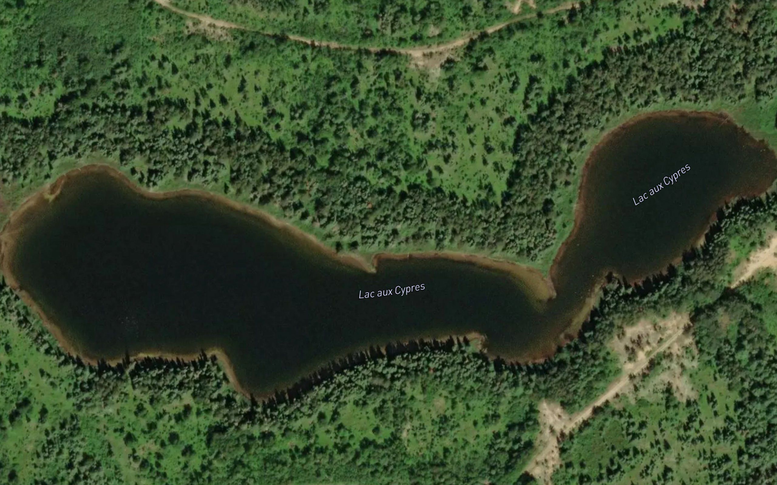 Lac aux Cypres