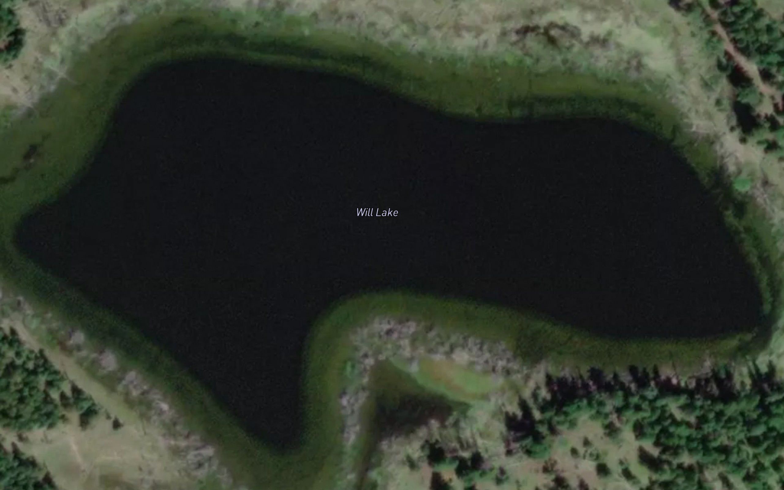 Will Lake