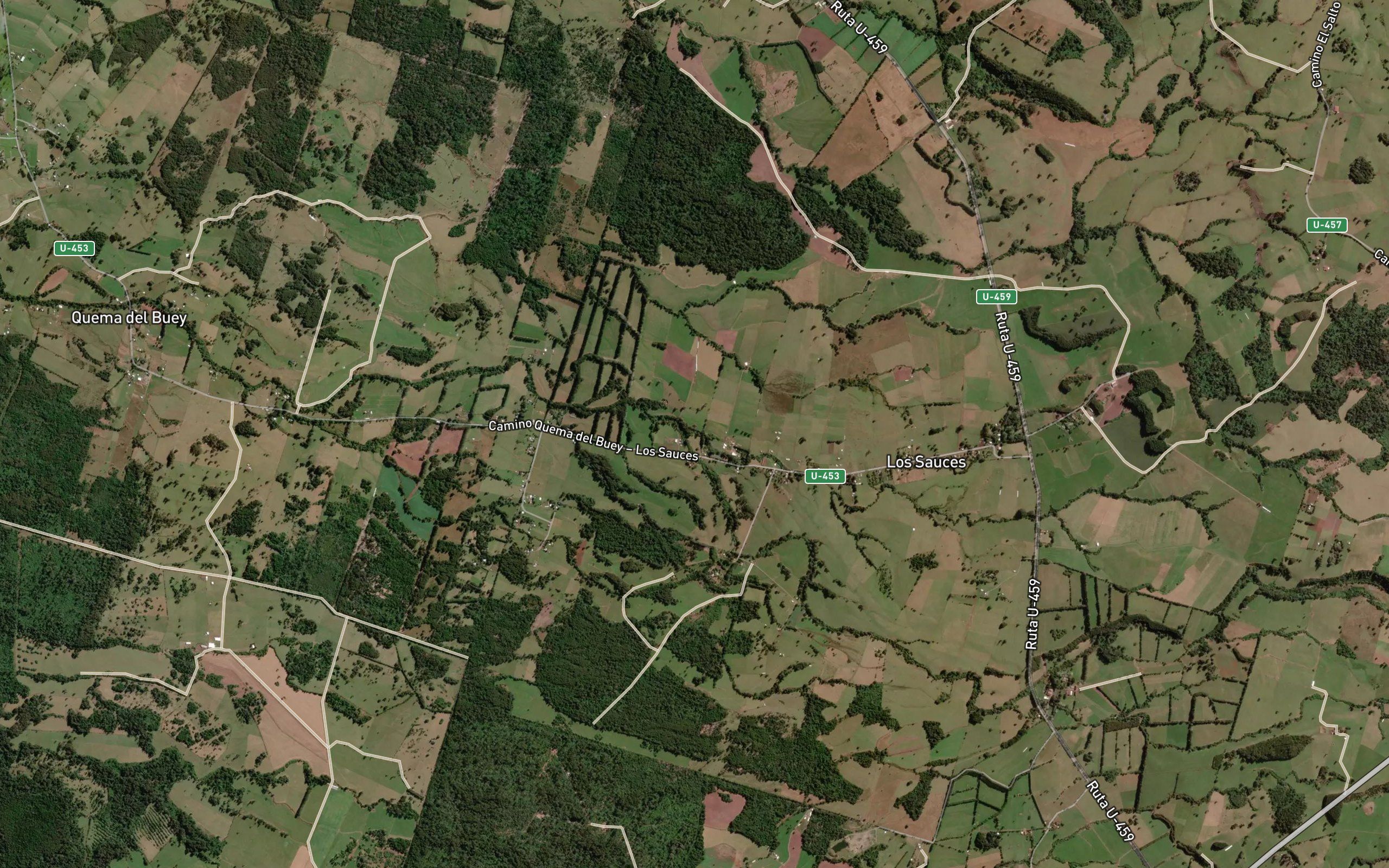Estero Chioca
